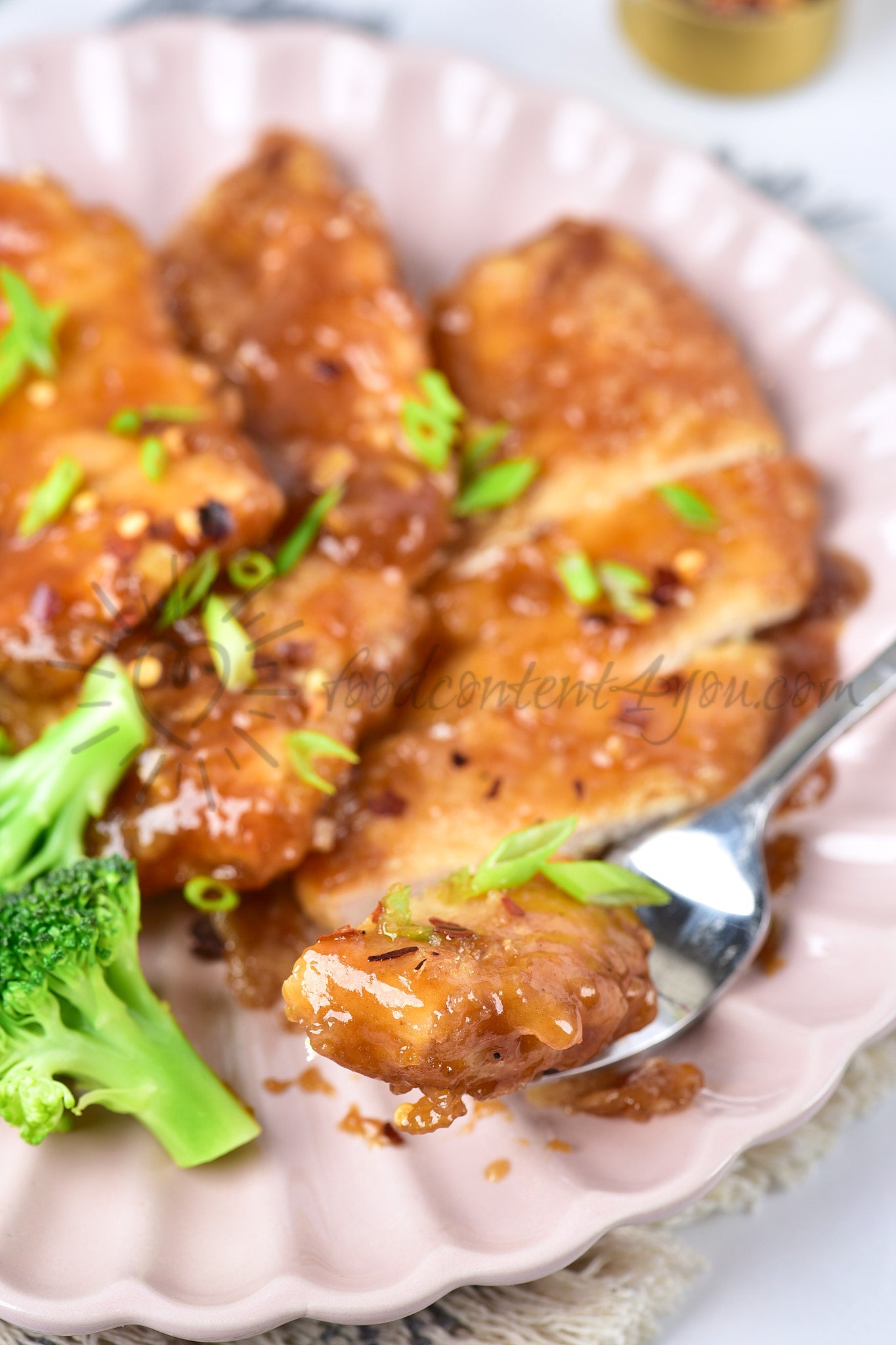 Honey Garlic Chicken - Set 5 of 5
