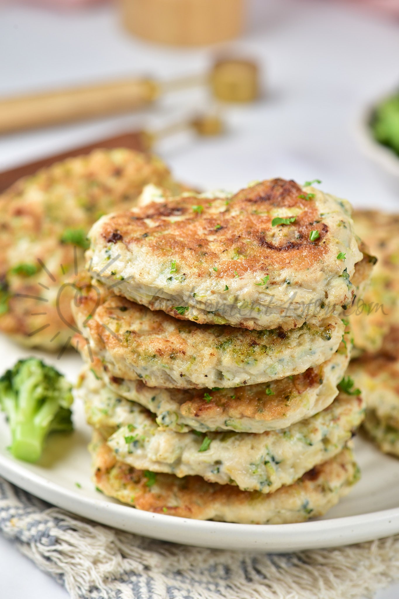 Chicken Broccoli Patties - Set 3 of 5
