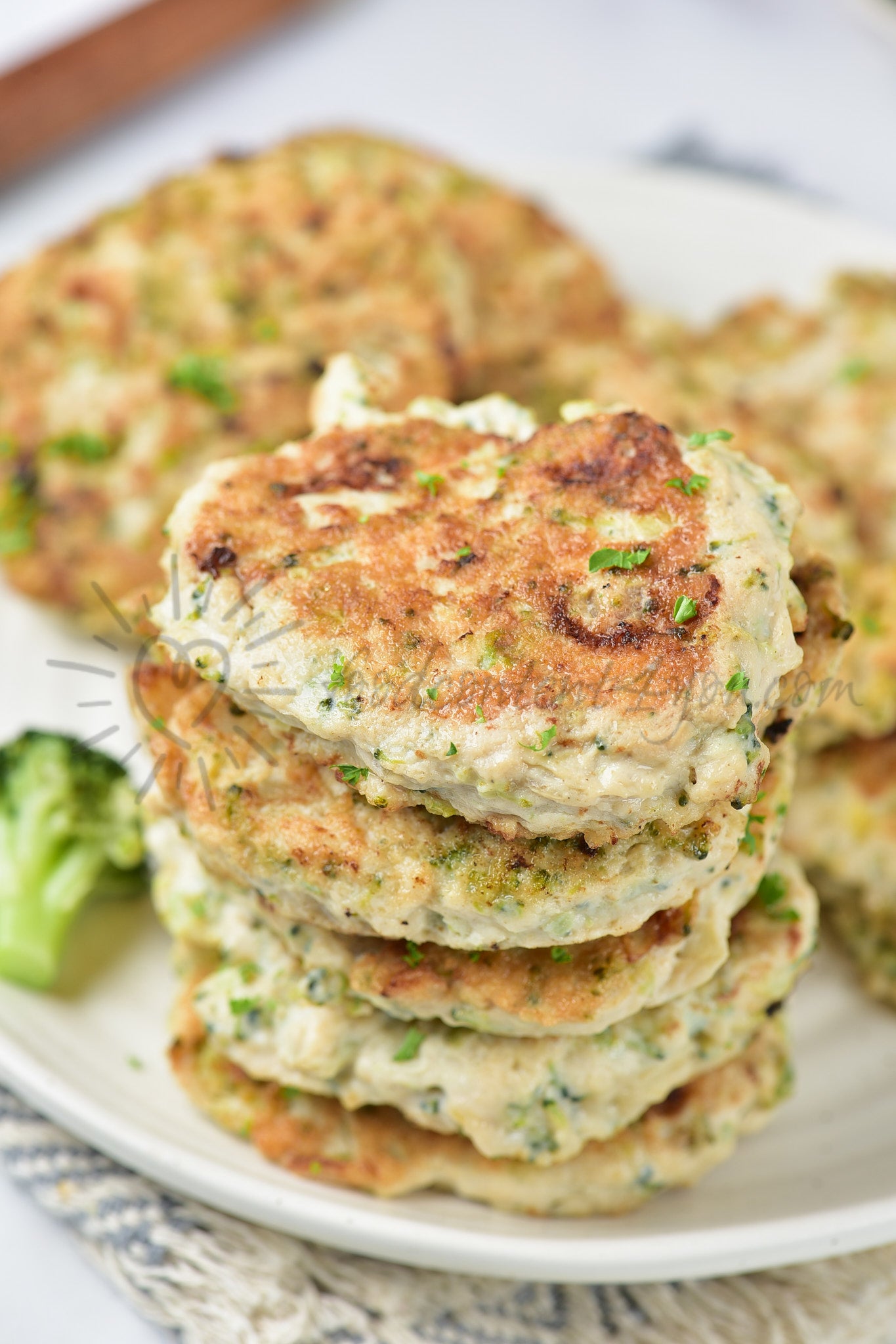 Chicken Broccoli Patties - Set 3 of 5