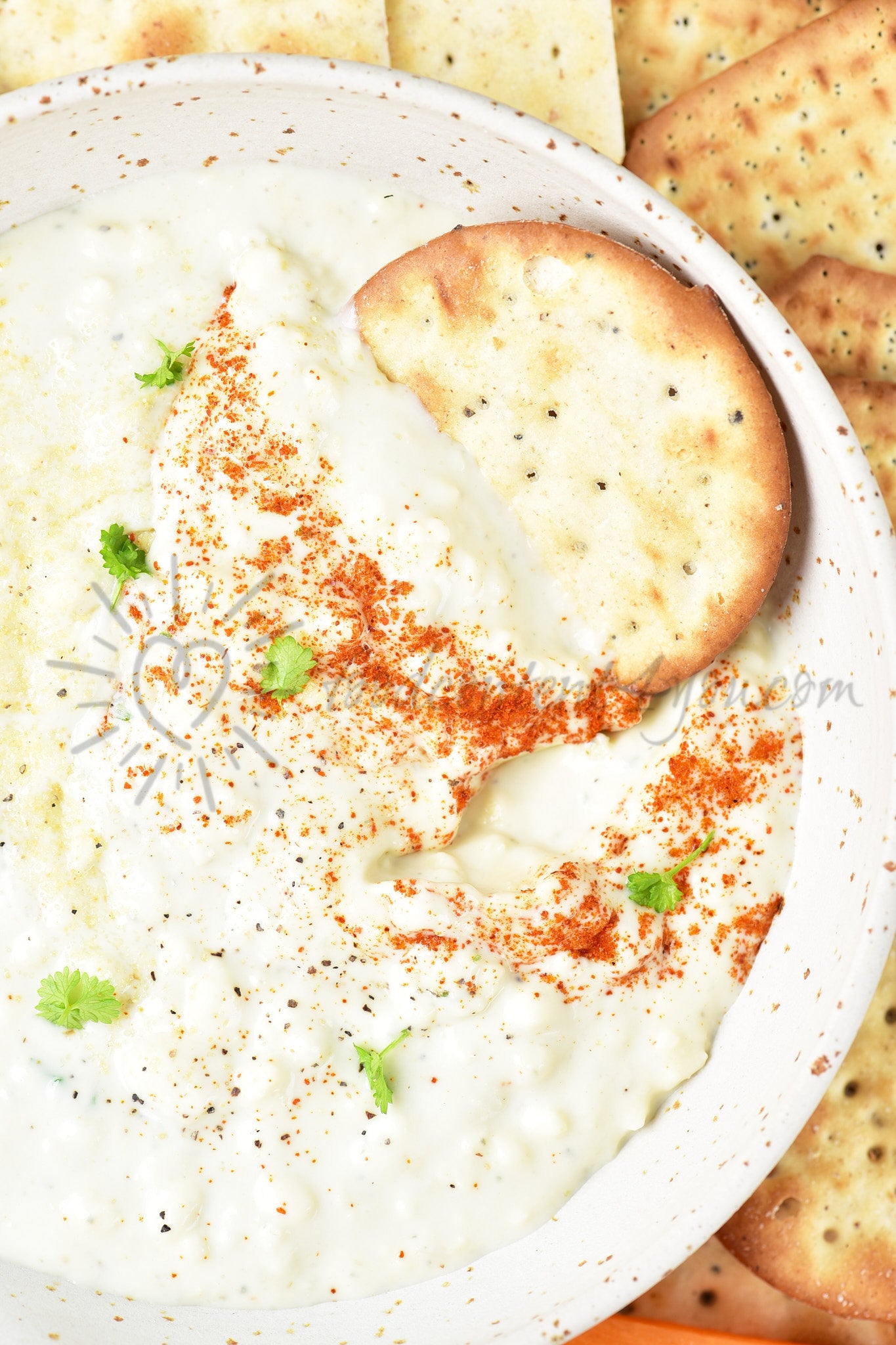 Blue Cheese Dip - Set 5 of 5