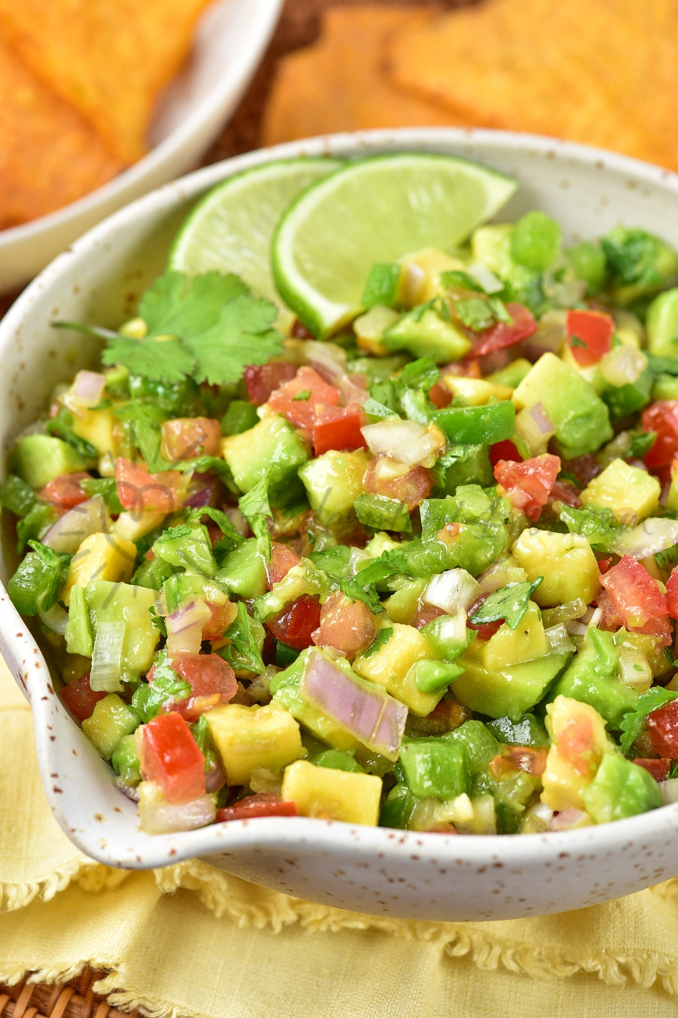 Avocado Salsa - Set 4 of 5