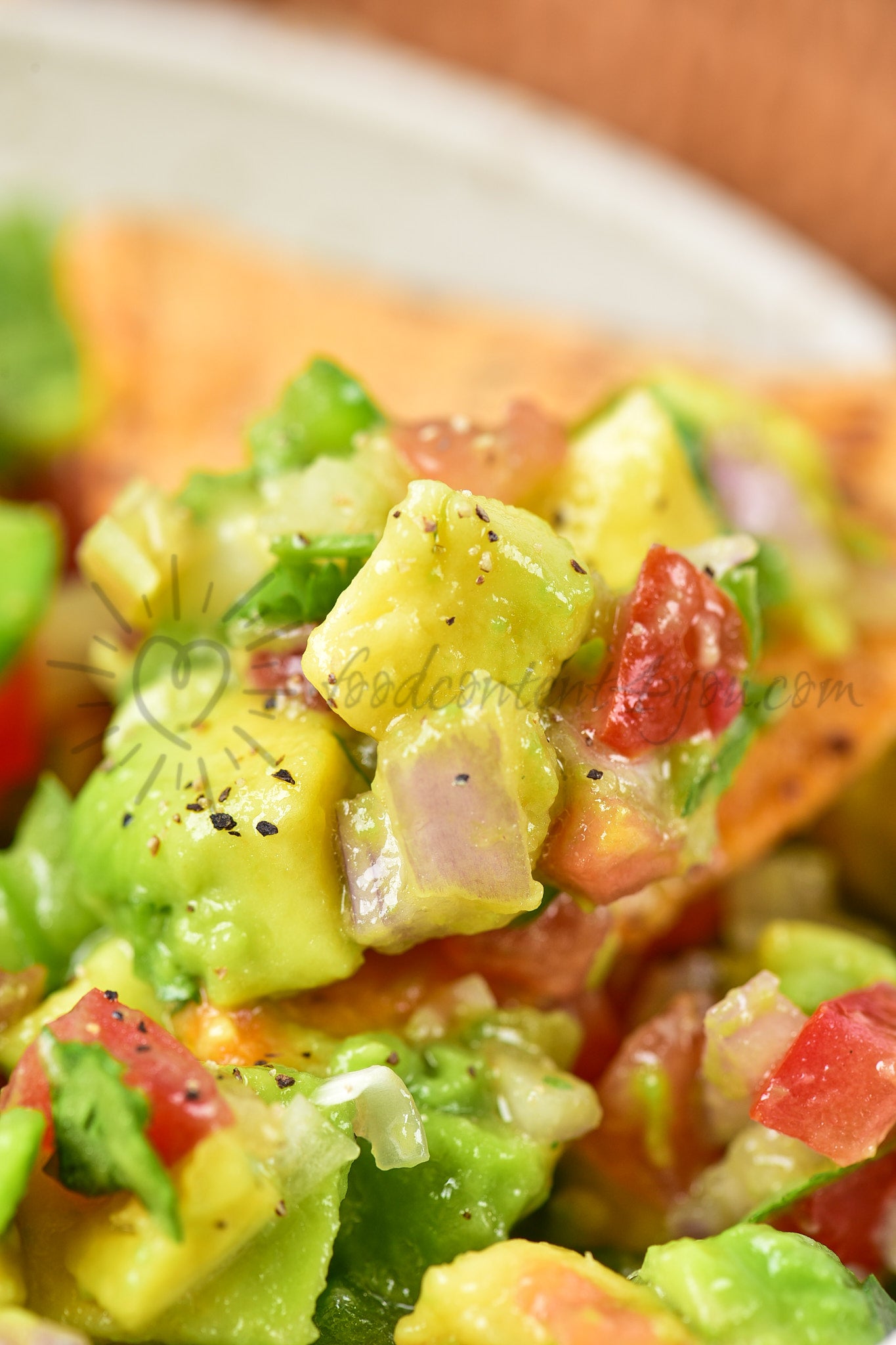 Avocado Salsa - Set 4 of 5