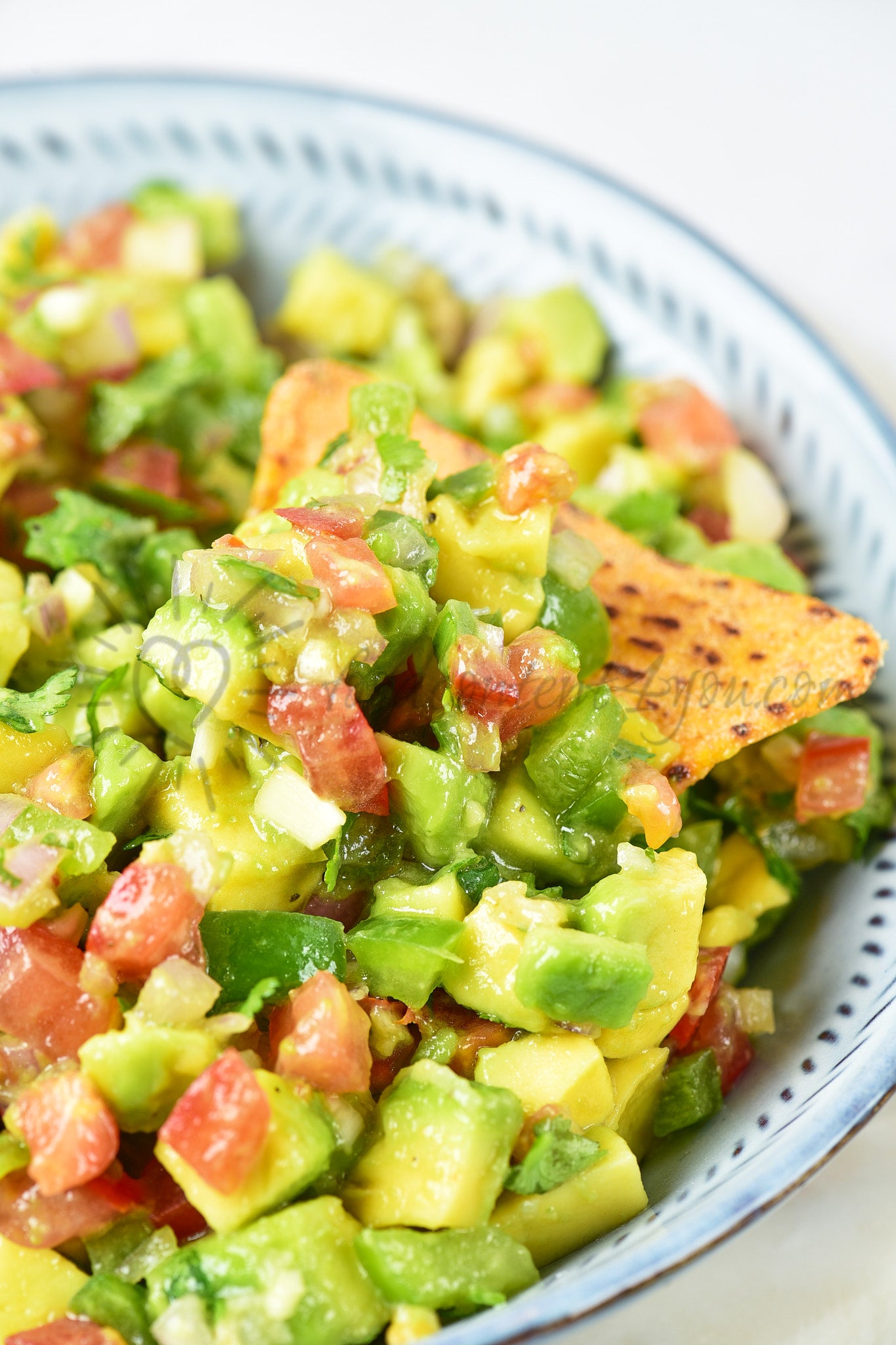 Avocado Salsa - Set 5 of 5