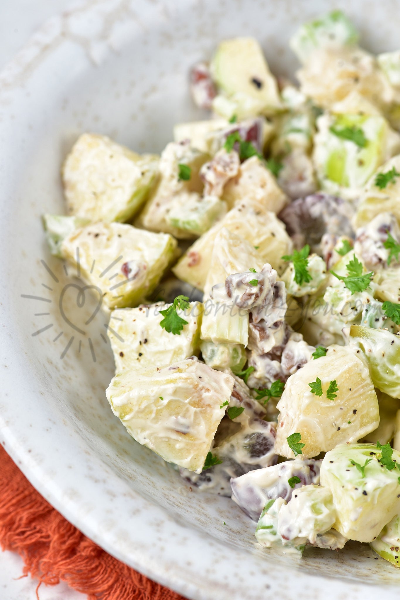 Waldorf Salad - Set 1 of 5