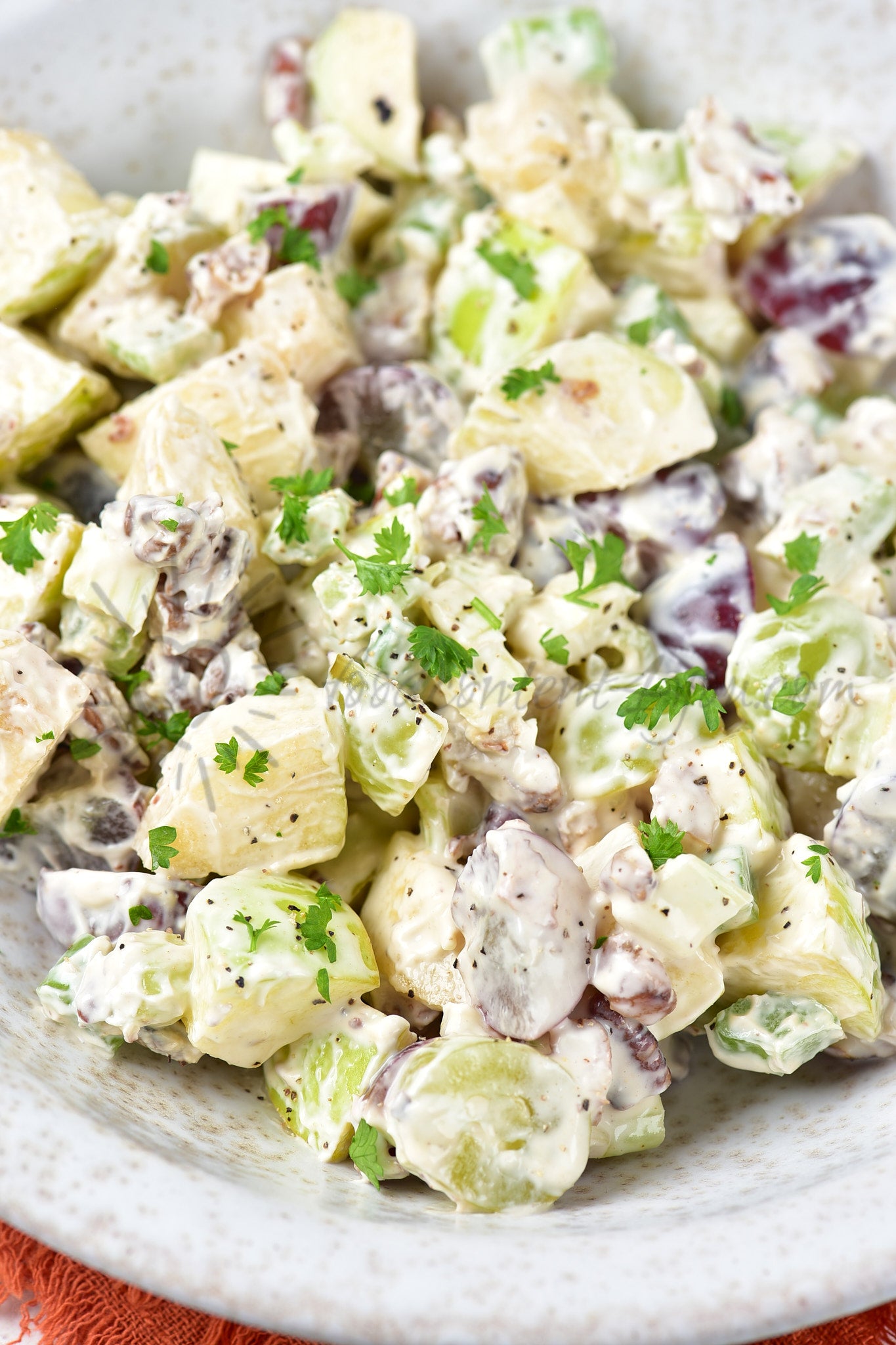 Waldorf Salad - Set 1 of 5