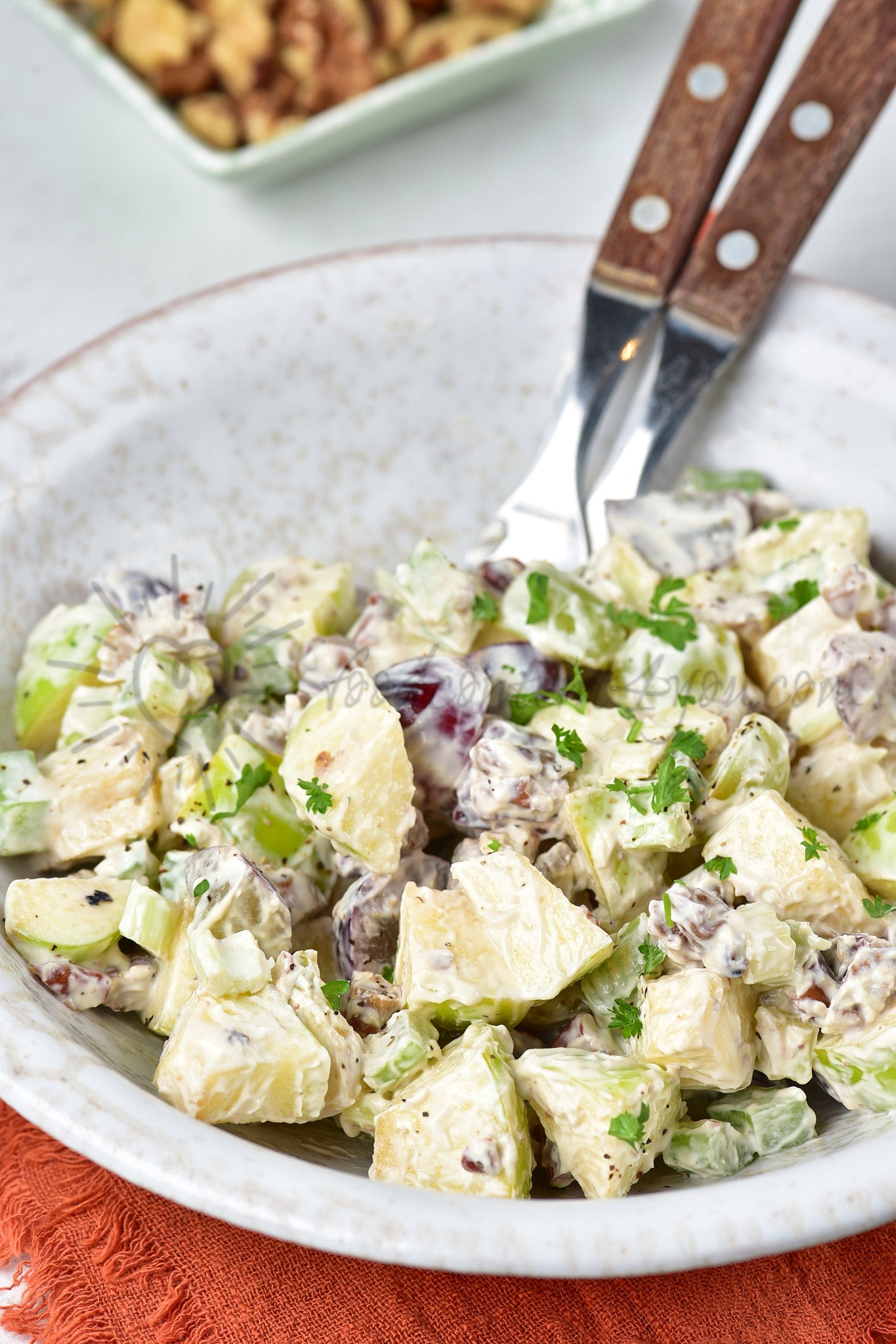 Waldorf Salad - Set 1 of 5
