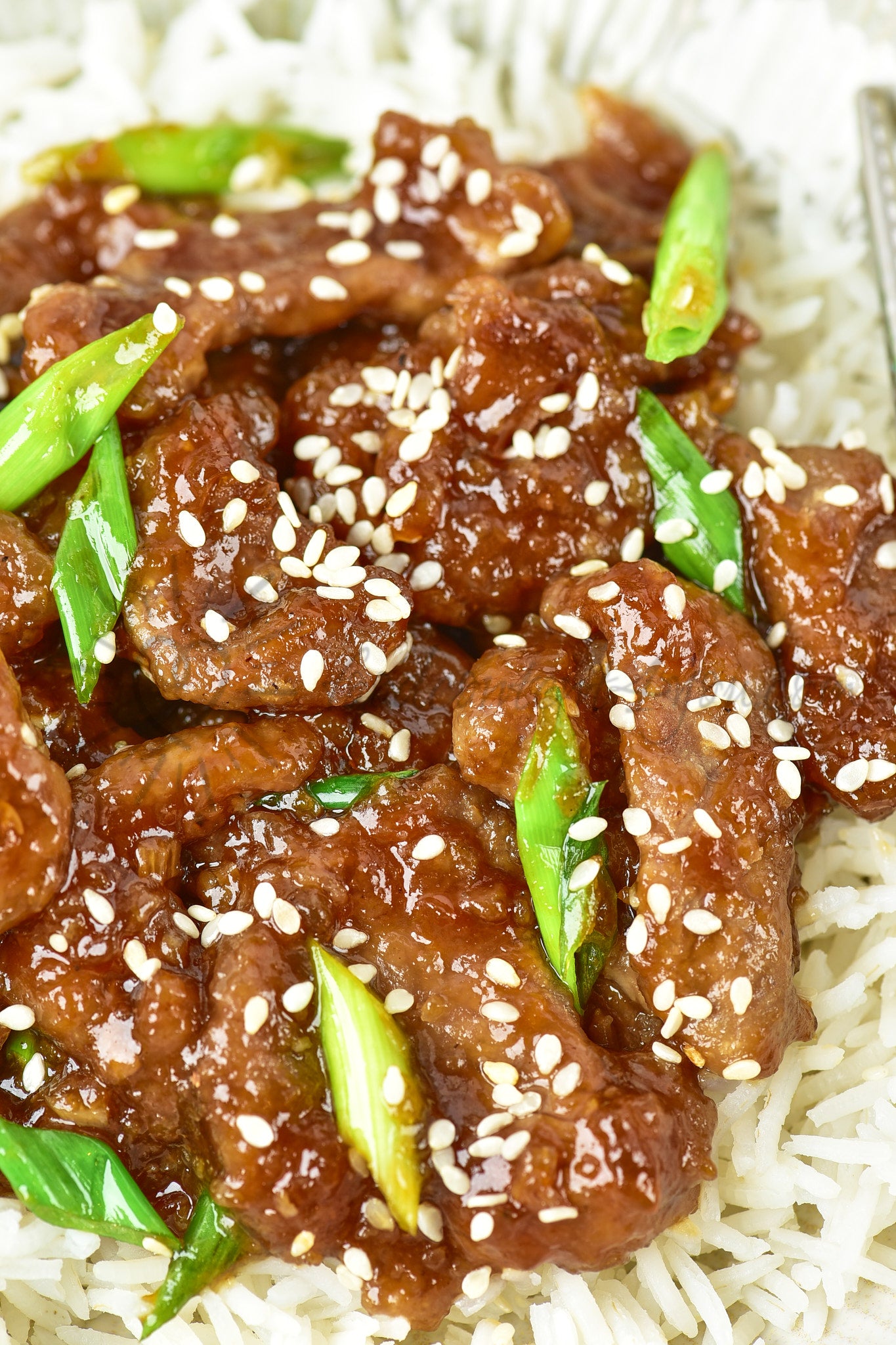 Mongolian Beef - Set 4 of 5