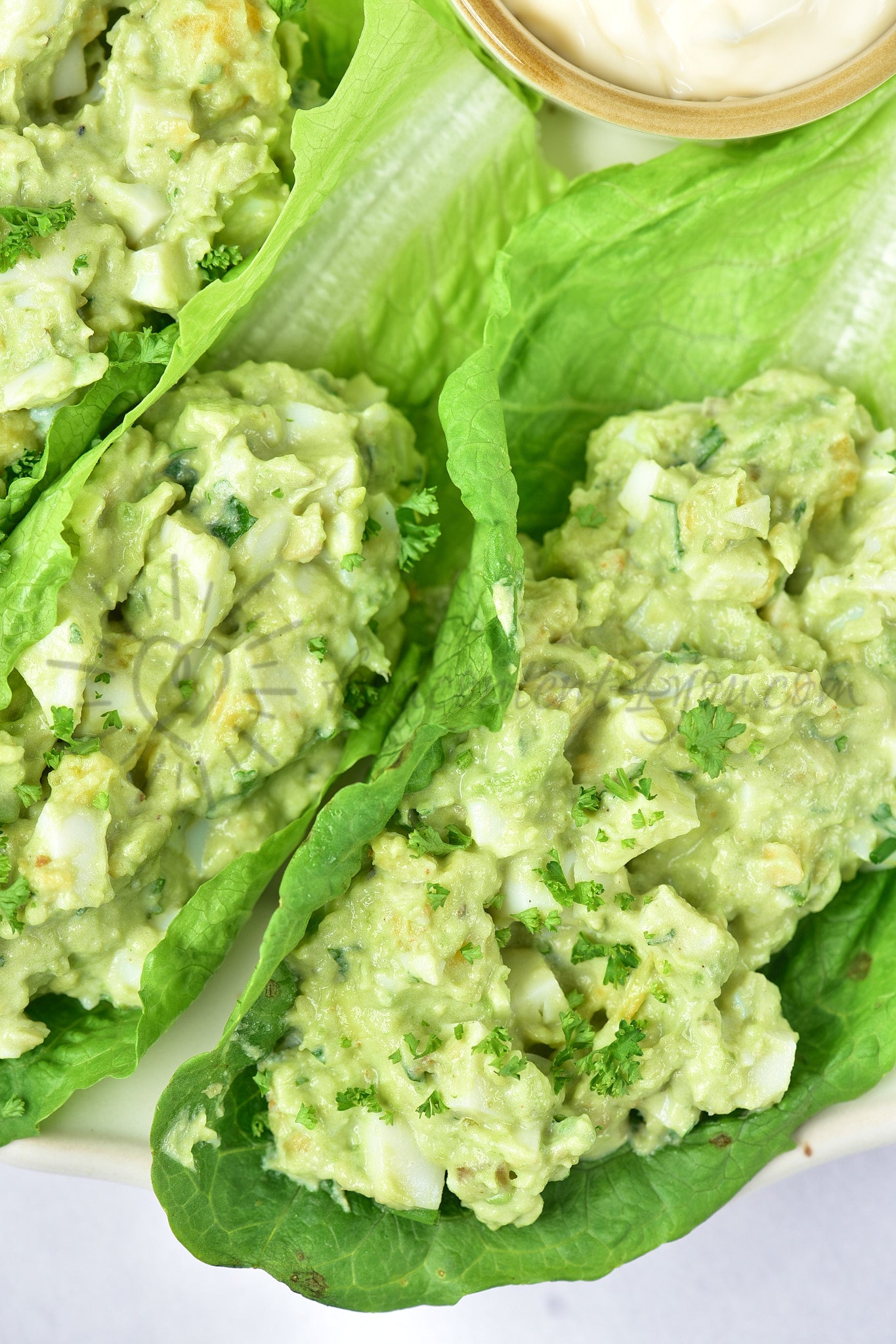 Avocado Egg Salad - Set 5 of 5