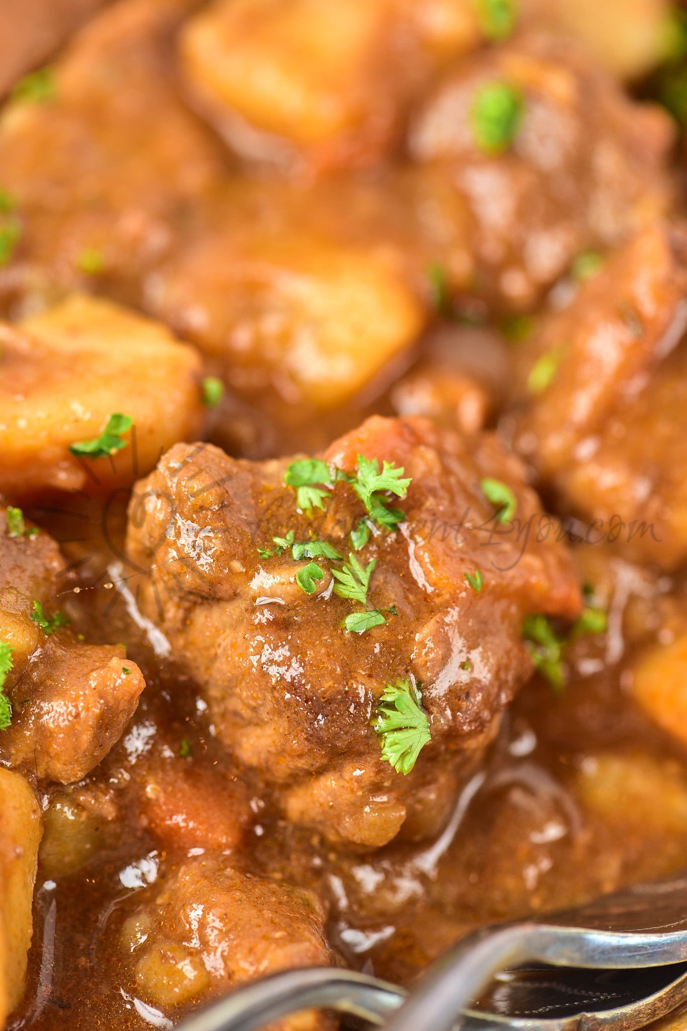 Irish Beef Stew - Set 1 of 5