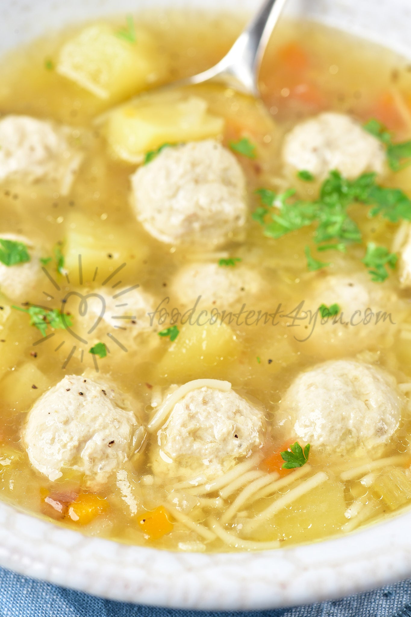 Chicken Meatball Soup - Set 1 of 5