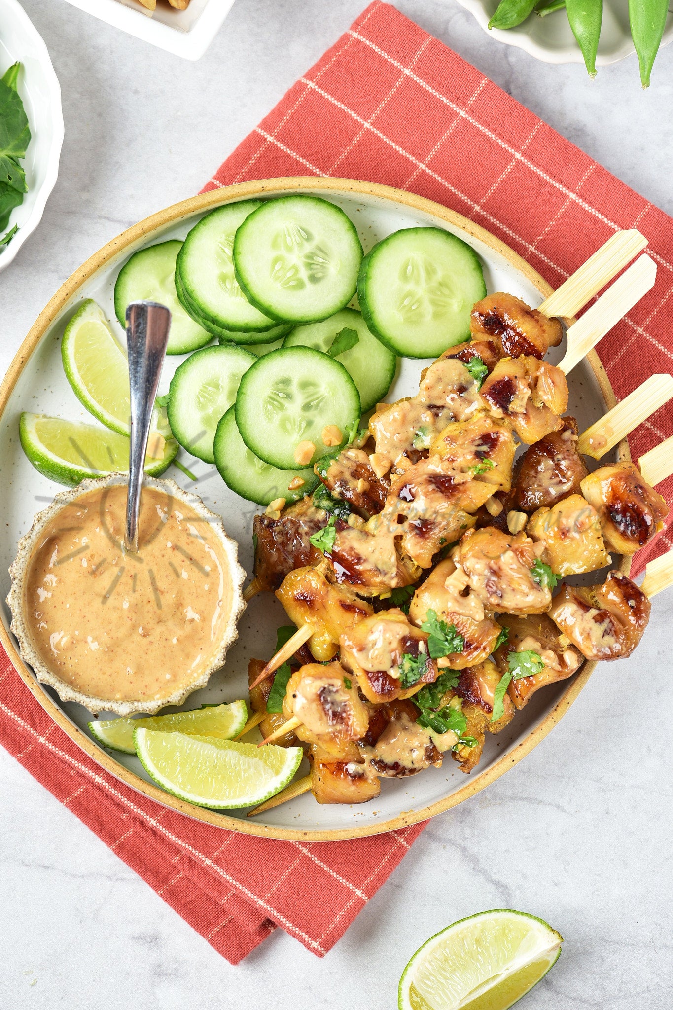 Chicken Satay - Set 4 of 5