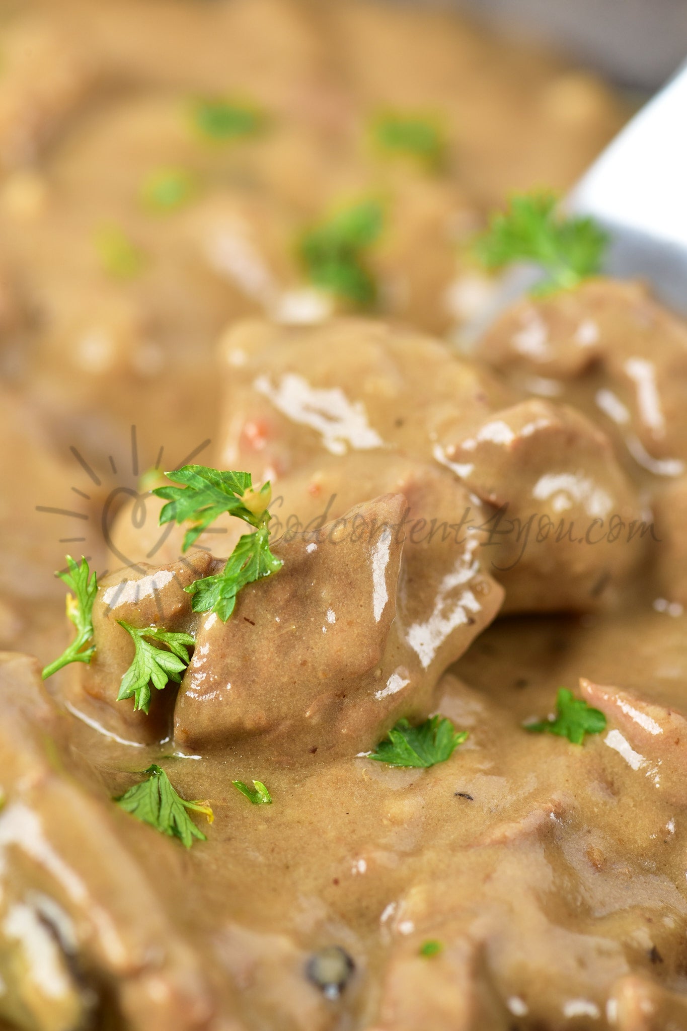 Slow cooker Beef Stroganoff - Set 1 of 5