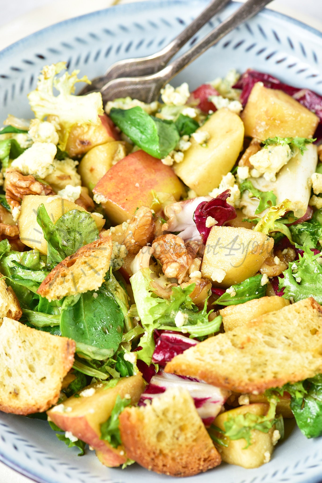 Apple, walnut and blue cheese salad - Set 3 of 5
