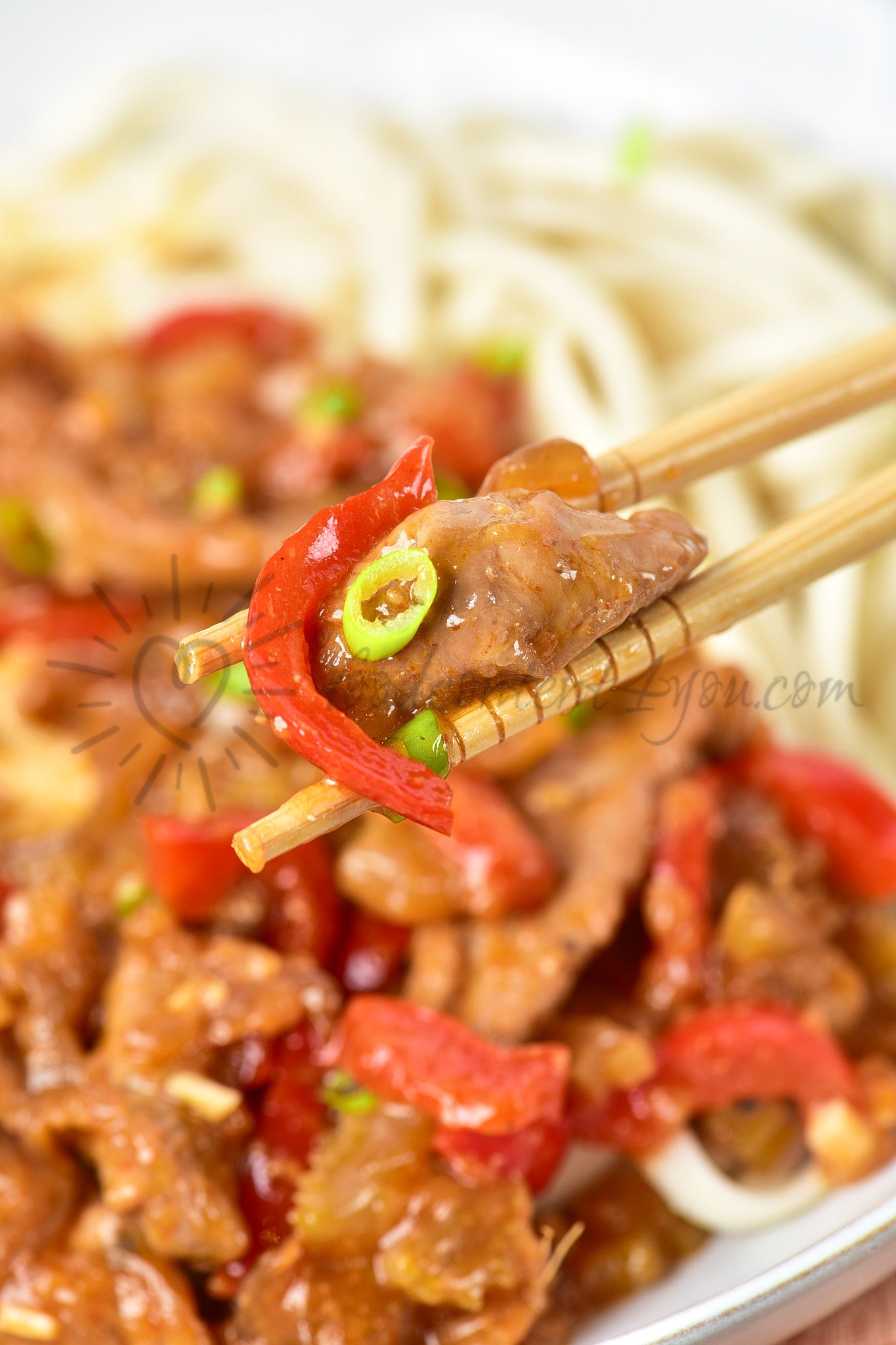 Duck Stir Fry