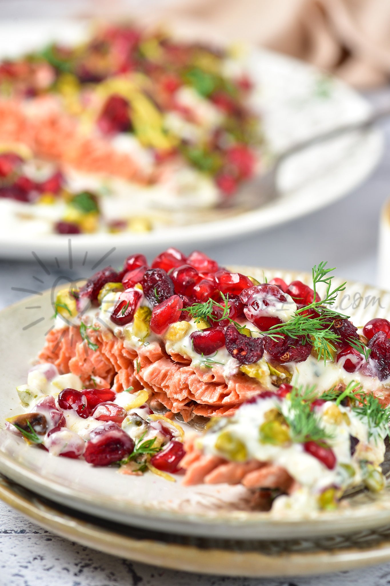 Christmas Jewelled Salmon