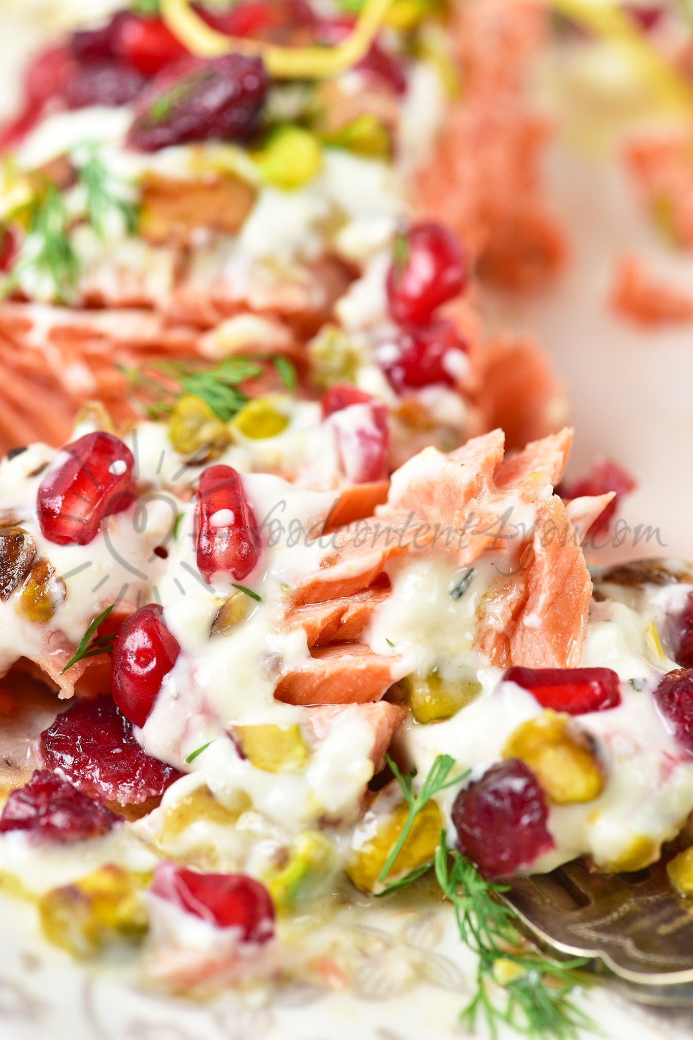 Christmas Jewelled Salmon