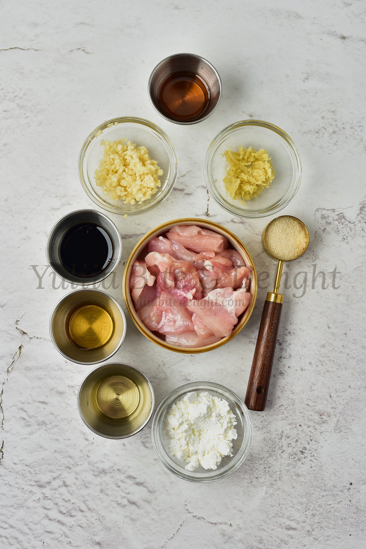 Teriyaki Chicken - Set 5 of 5