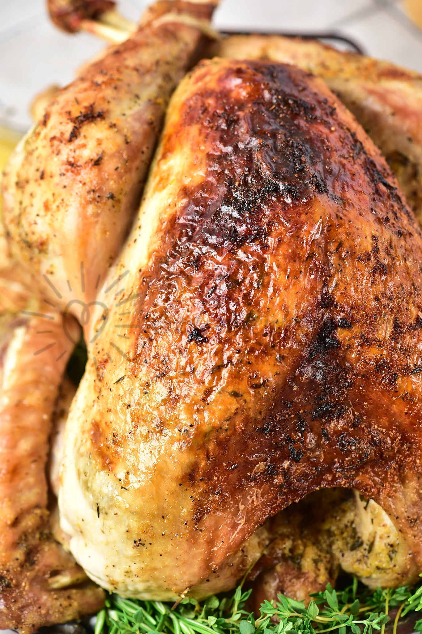 Christmas Roasted Turkey