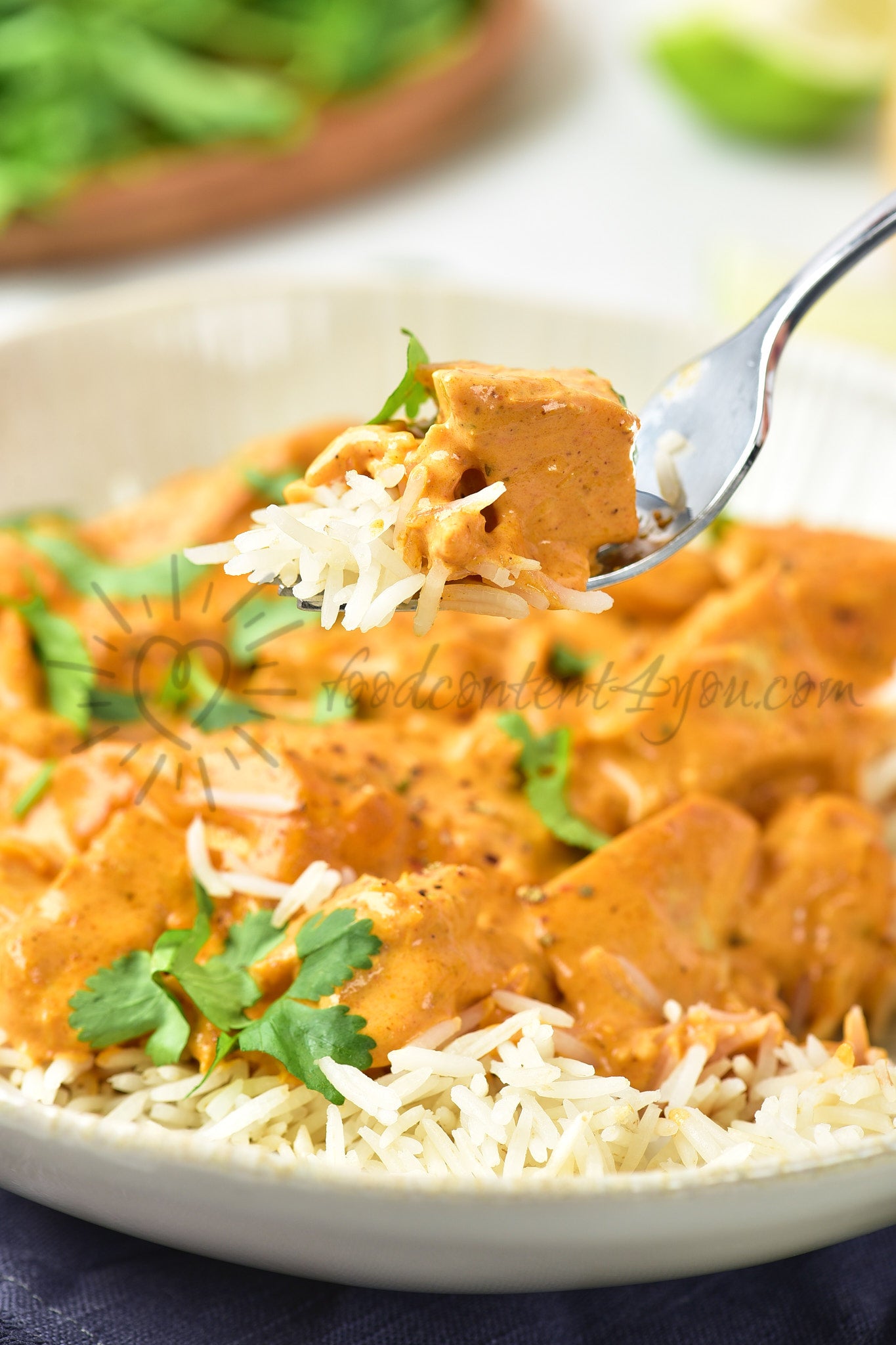 Leftover Turkey Curry