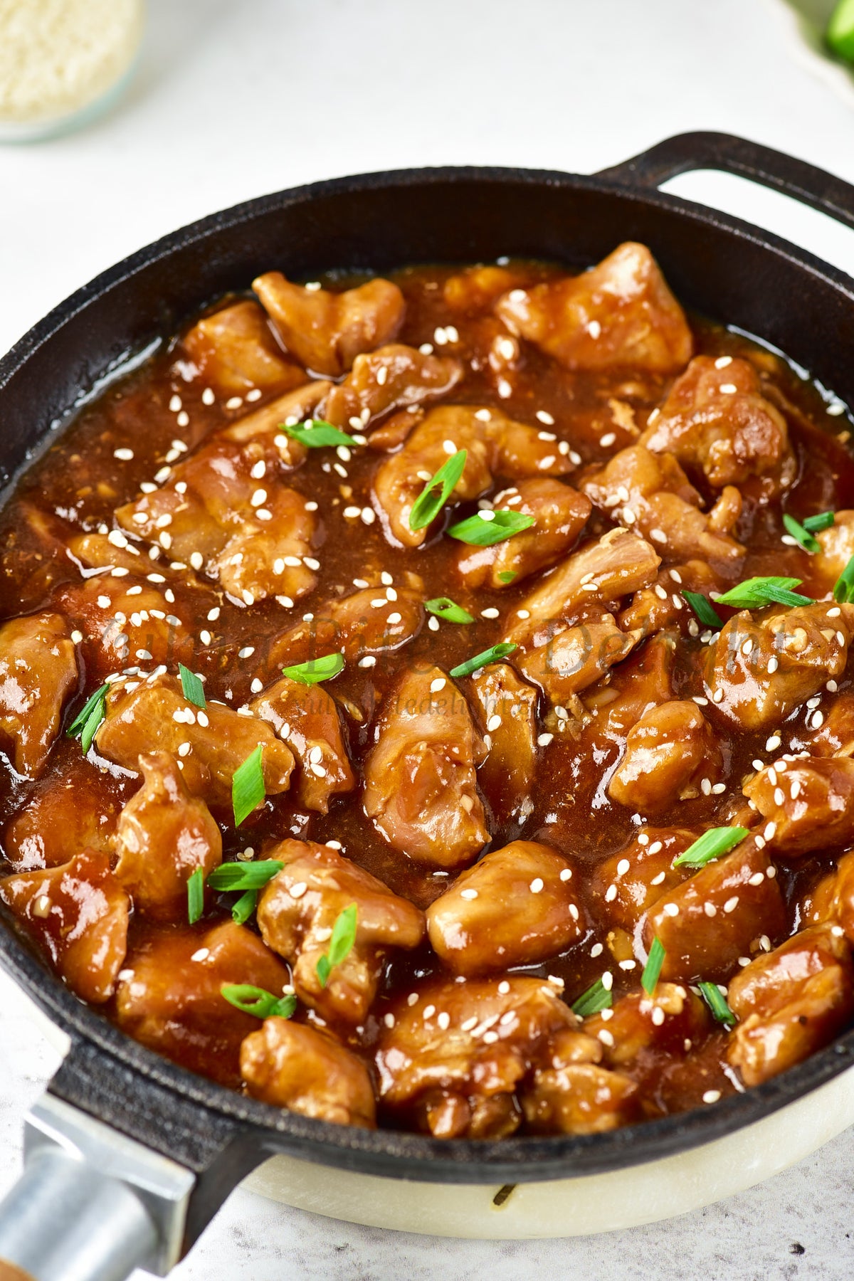 Teriyaki Chicken - Set 1 of 5