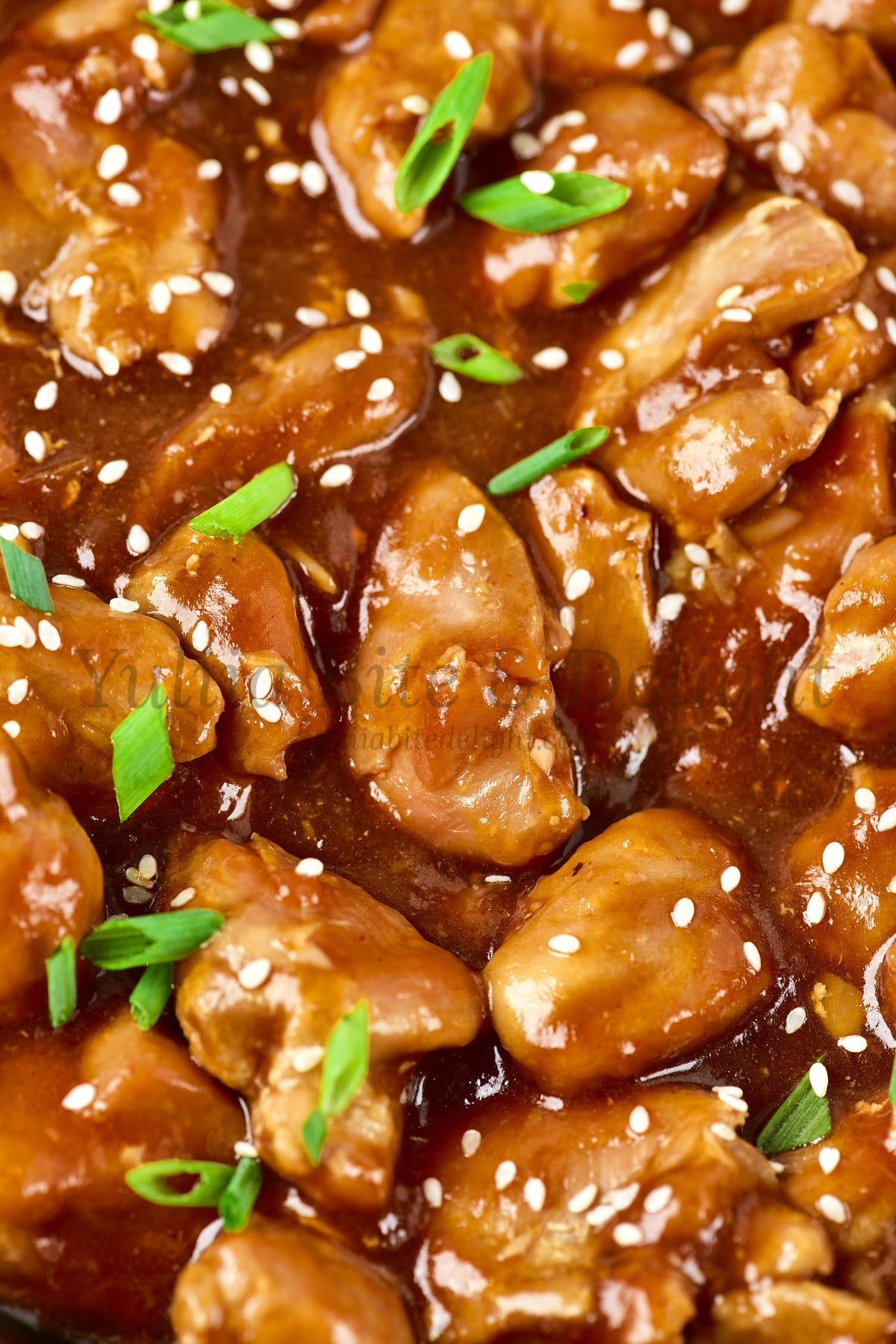 Teriyaki Chicken - Set 1 of 5