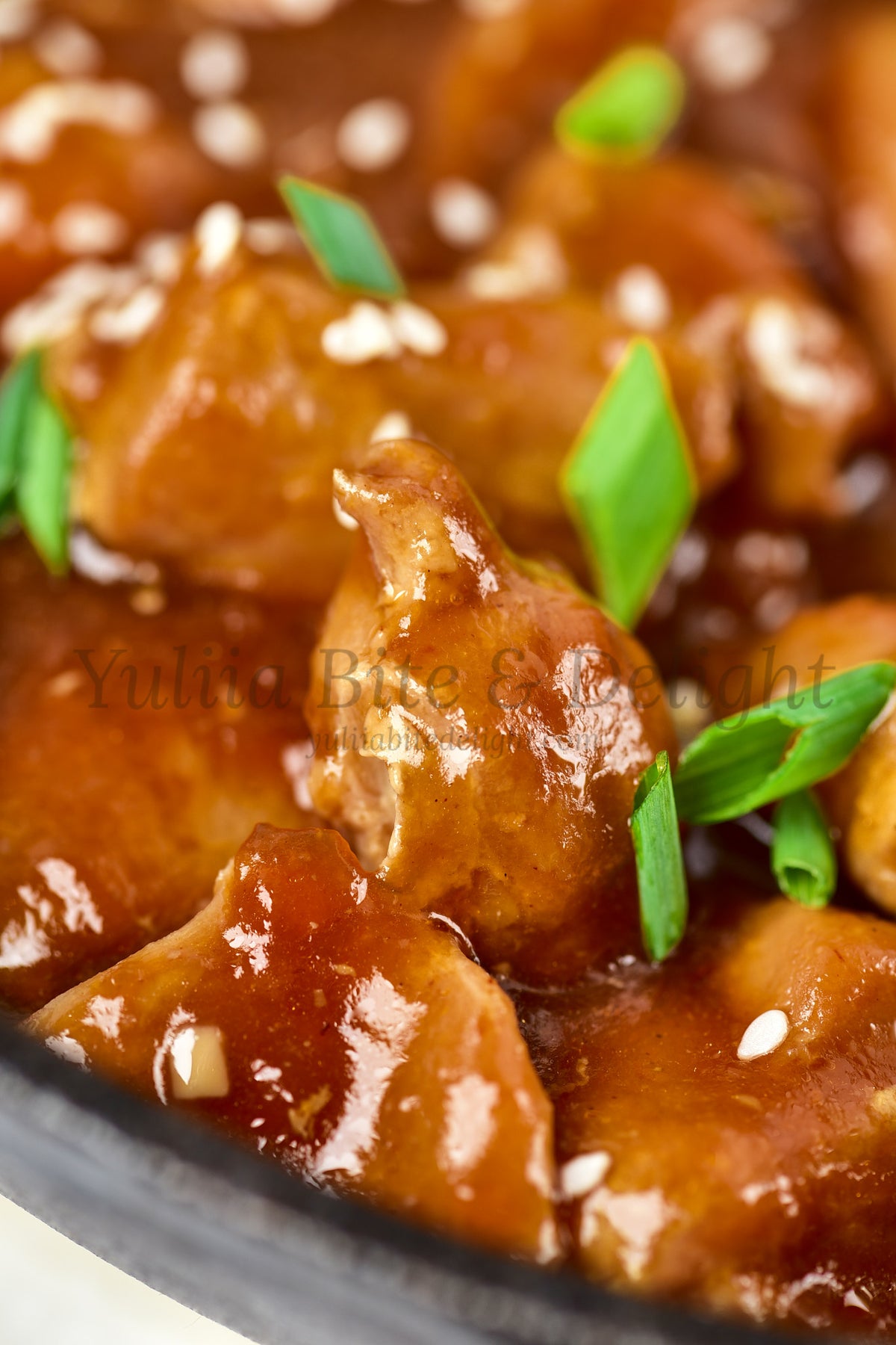 Teriyaki Chicken - Set 1 of 5