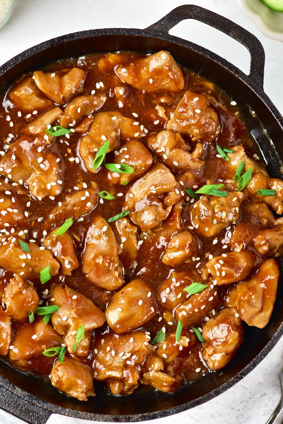 Teriyaki Chicken - Set 1 of 5