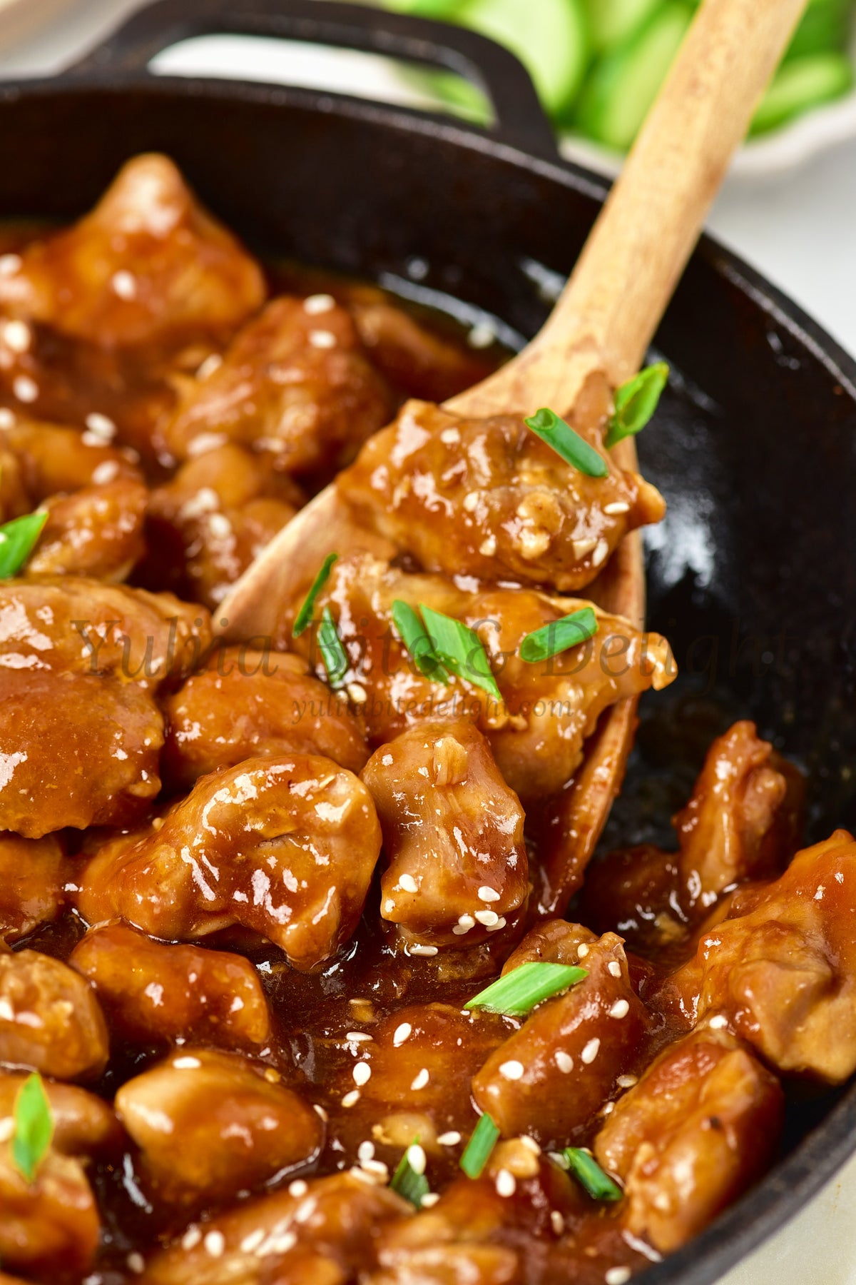 Teriyaki Chicken - Set 1 of 5