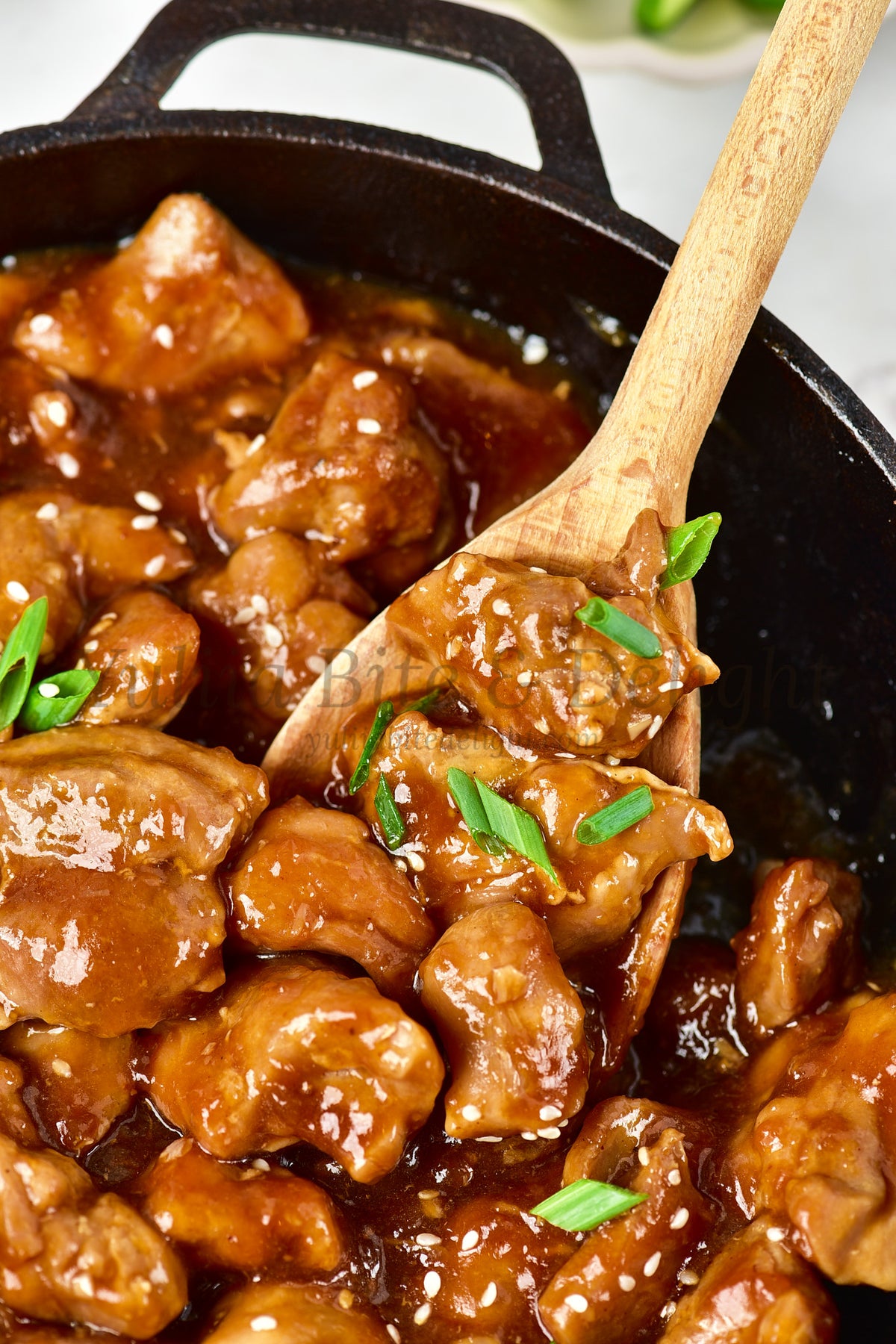 Teriyaki Chicken - Set 1 of 5
