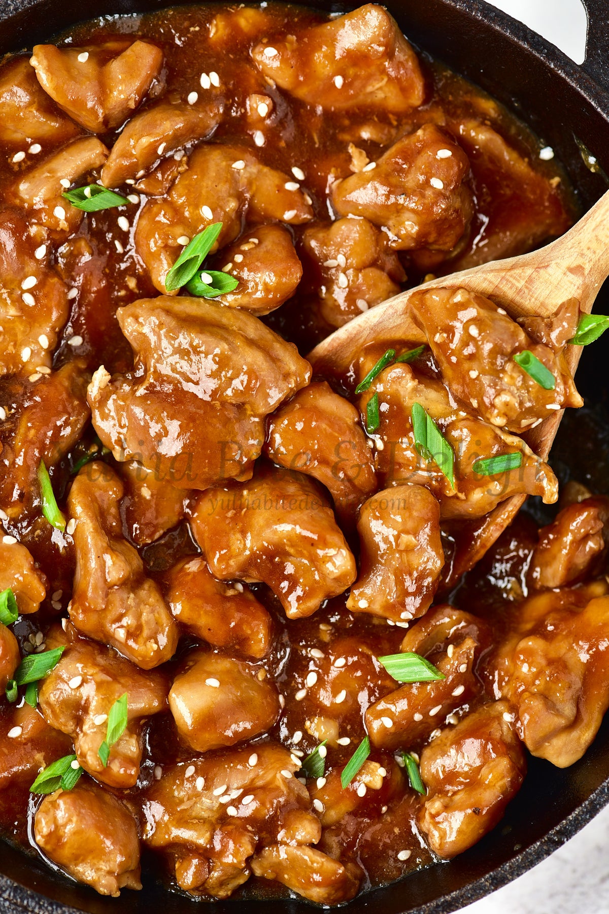 Teriyaki Chicken - Set 1 of 5
