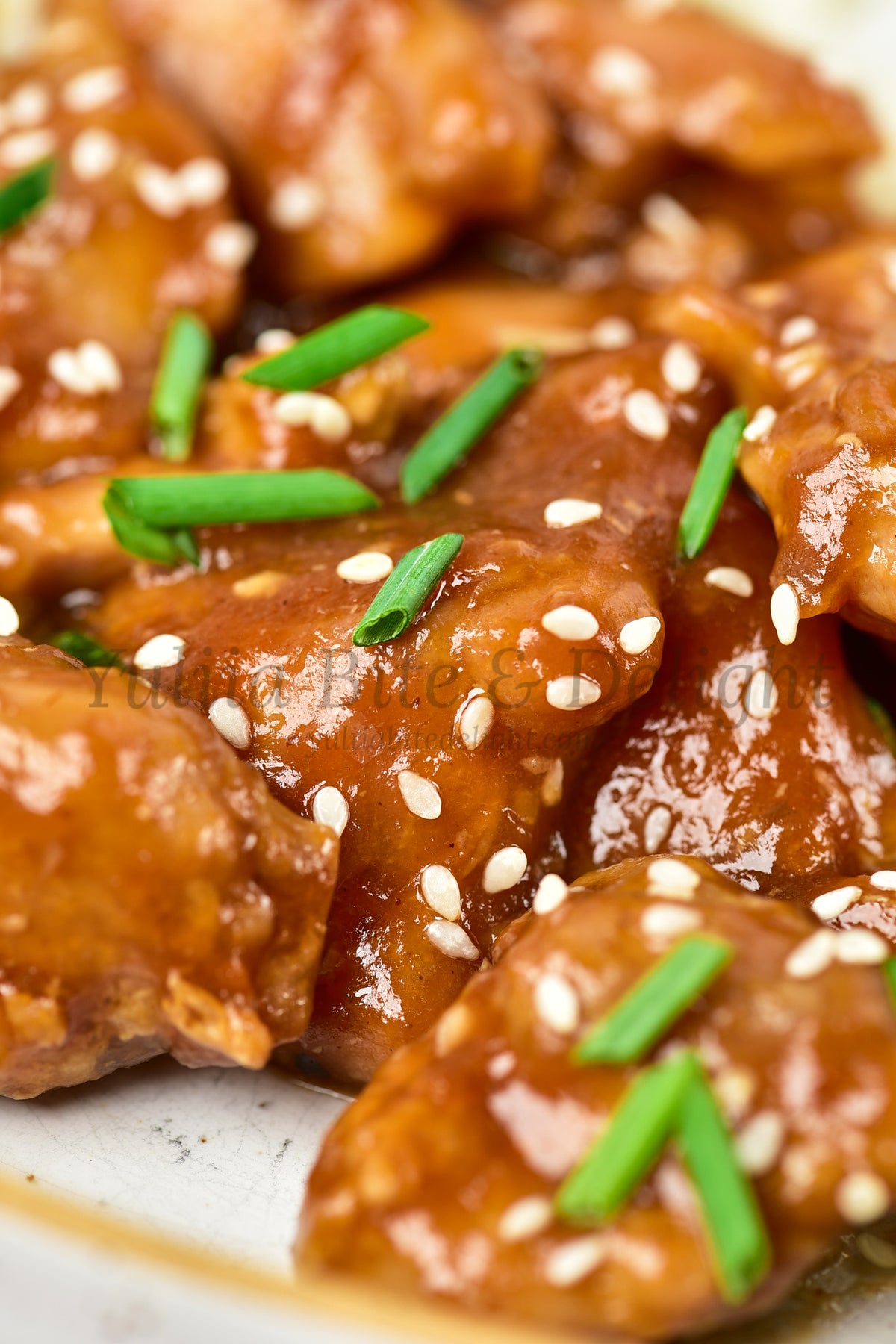 Teriyaki Chicken - Set 5 of 5