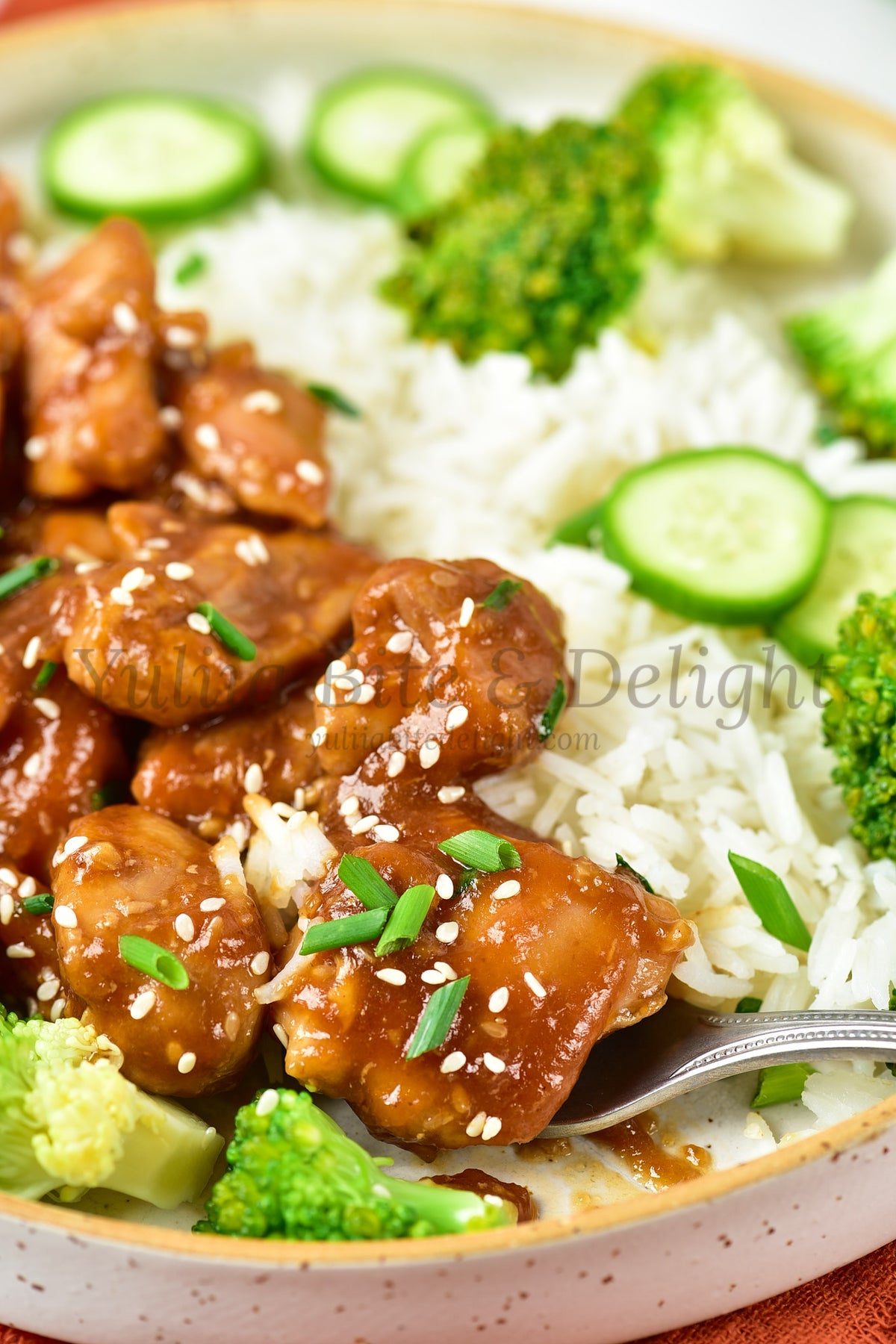 Teriyaki Chicken - Set 5 of 5