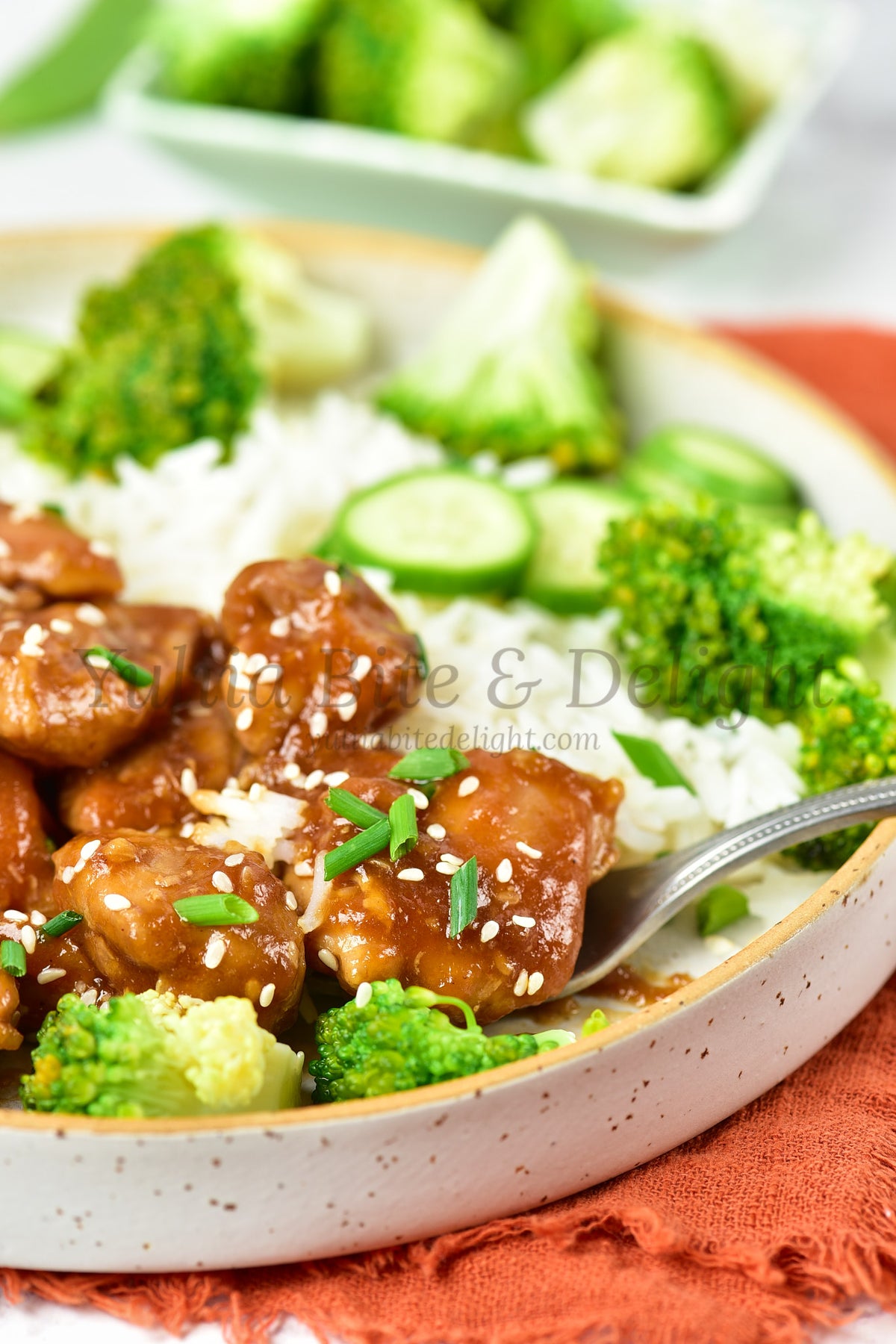 Teriyaki Chicken - Set 5 of 5