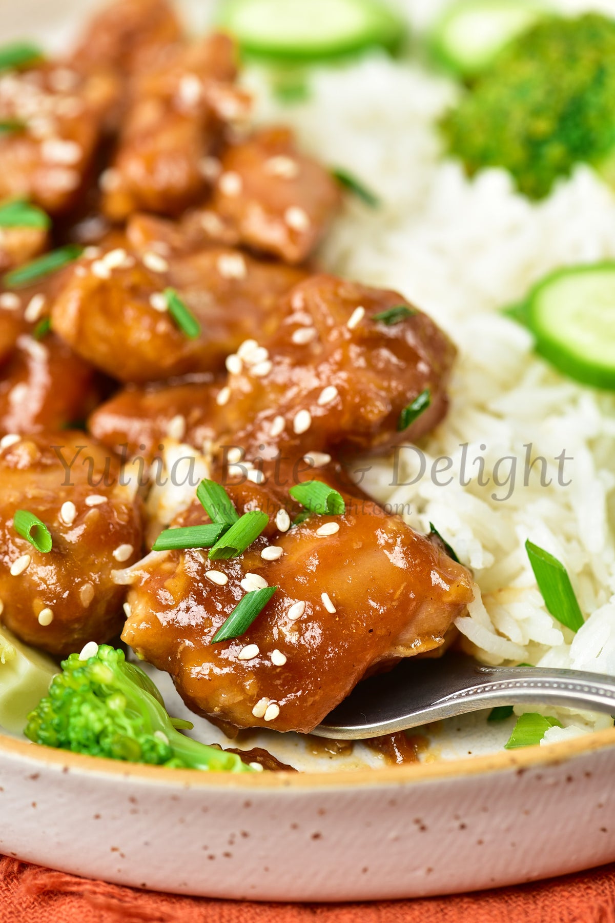 Teriyaki Chicken - Set 5 of 5