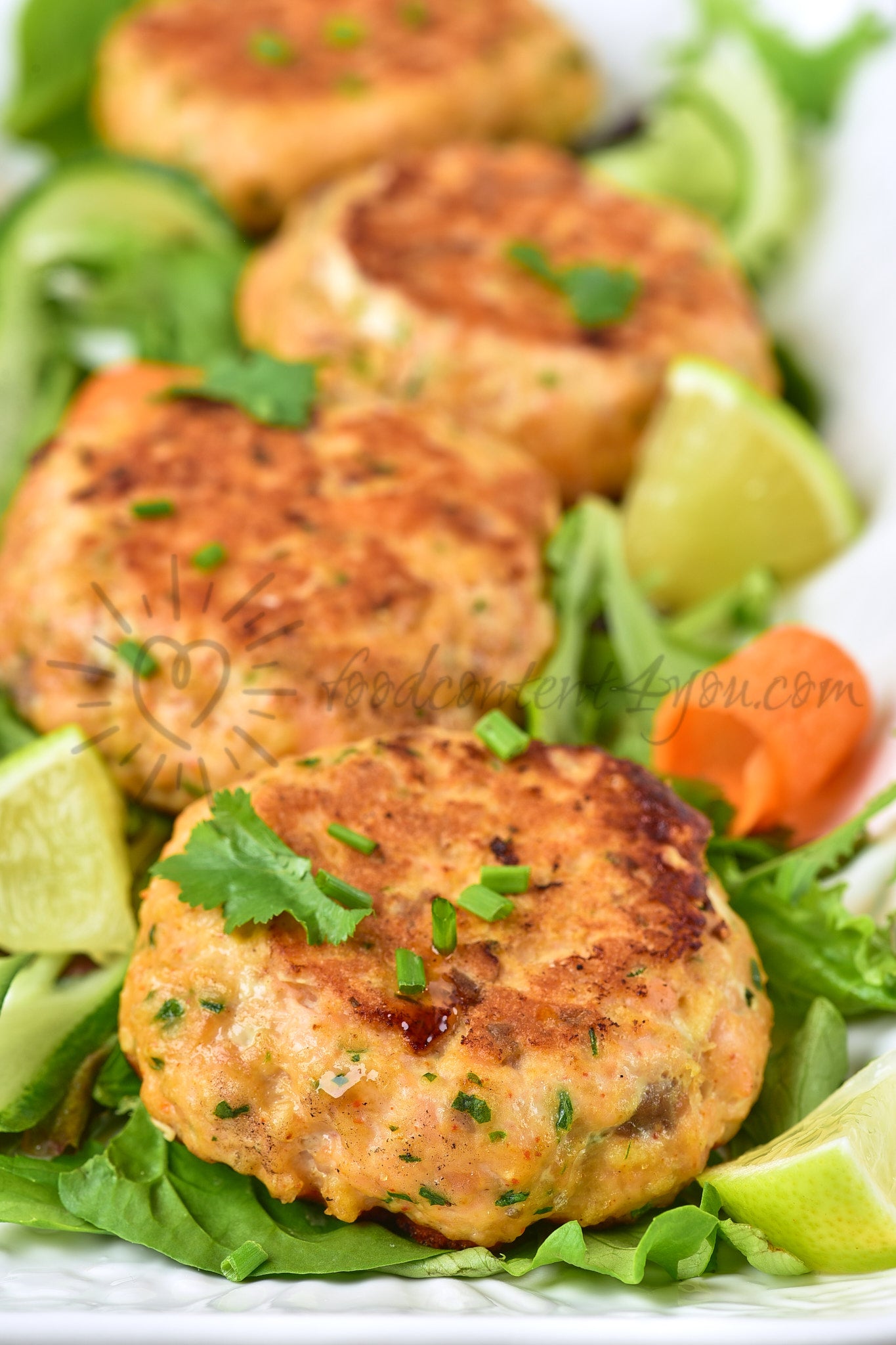 Thai Salmon Fish Cakes - Set 2 of 5