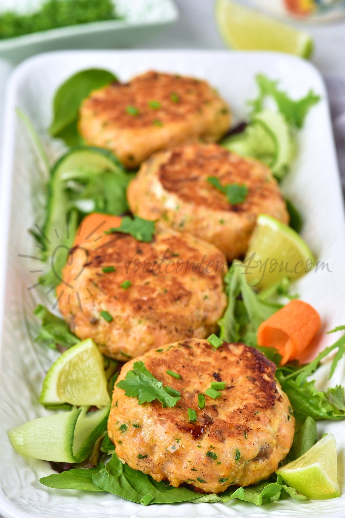 Thai Salmon Fish Cakes - Set 2 of 5