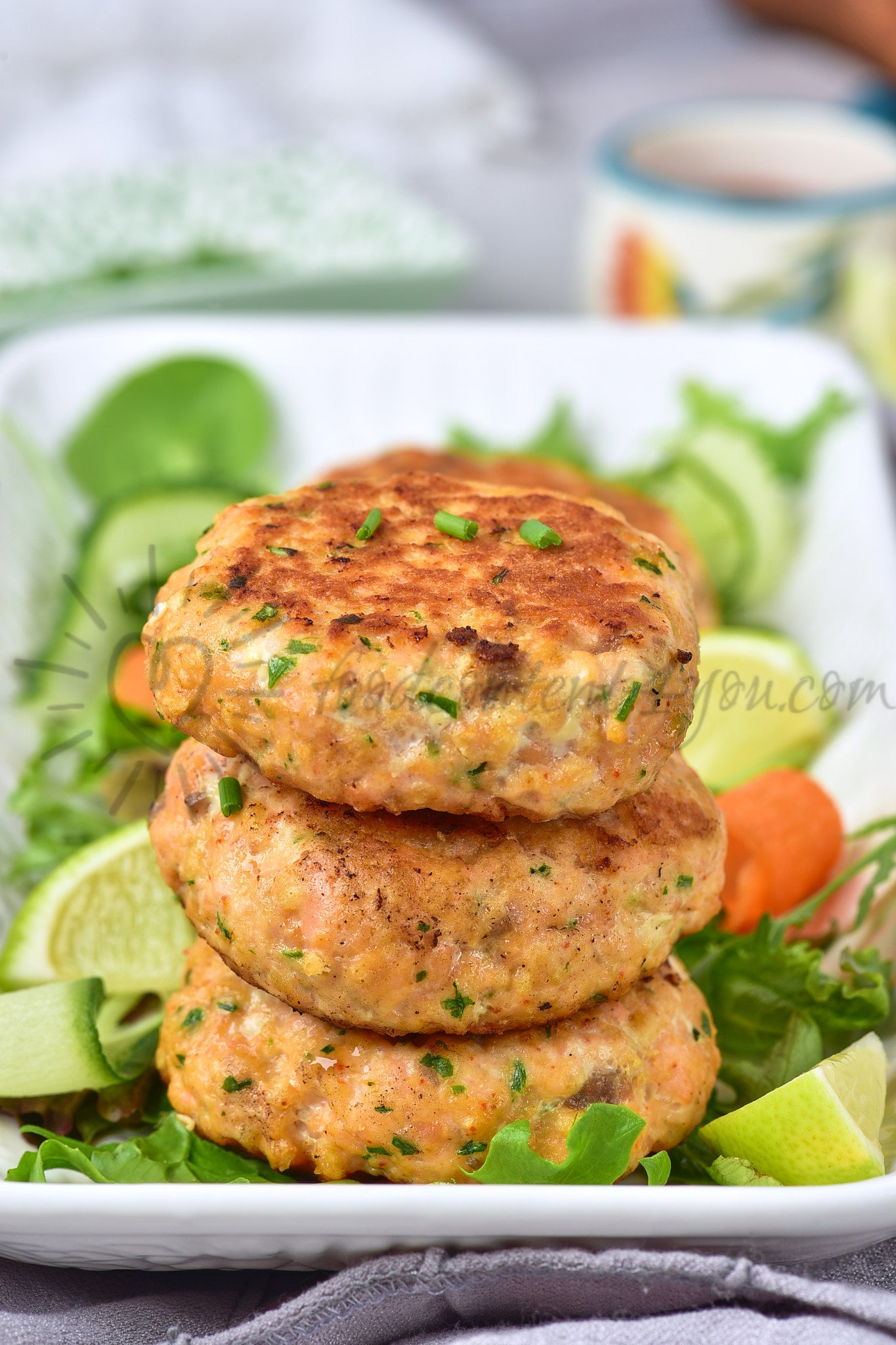 Thai Salmon Fish Cakes - Set 2 of 5