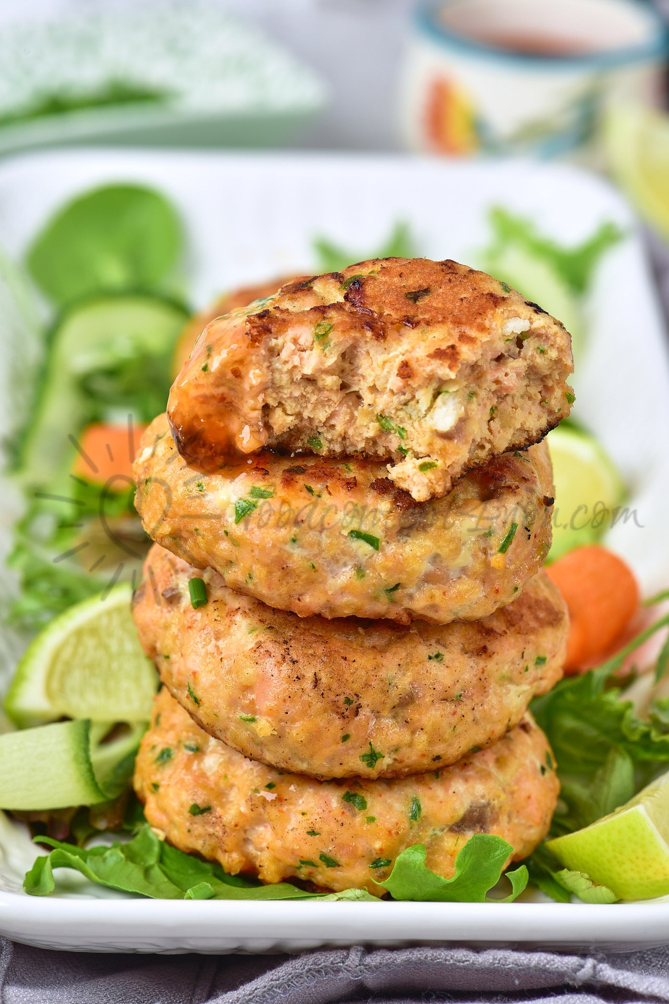 Thai Salmon Fish Cakes - Set 2 of 5