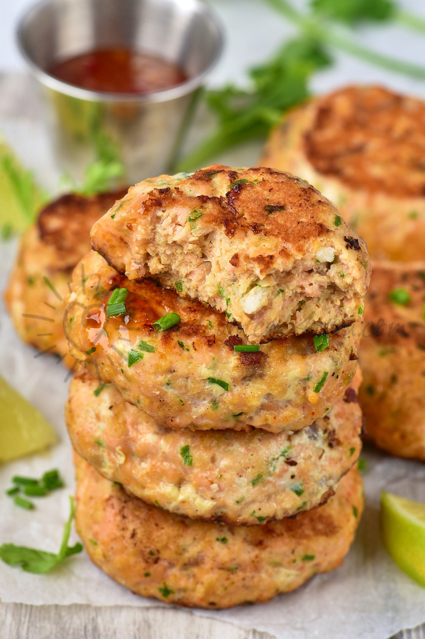 Thai Salmon Fish Cakes - Set 3 of 5
