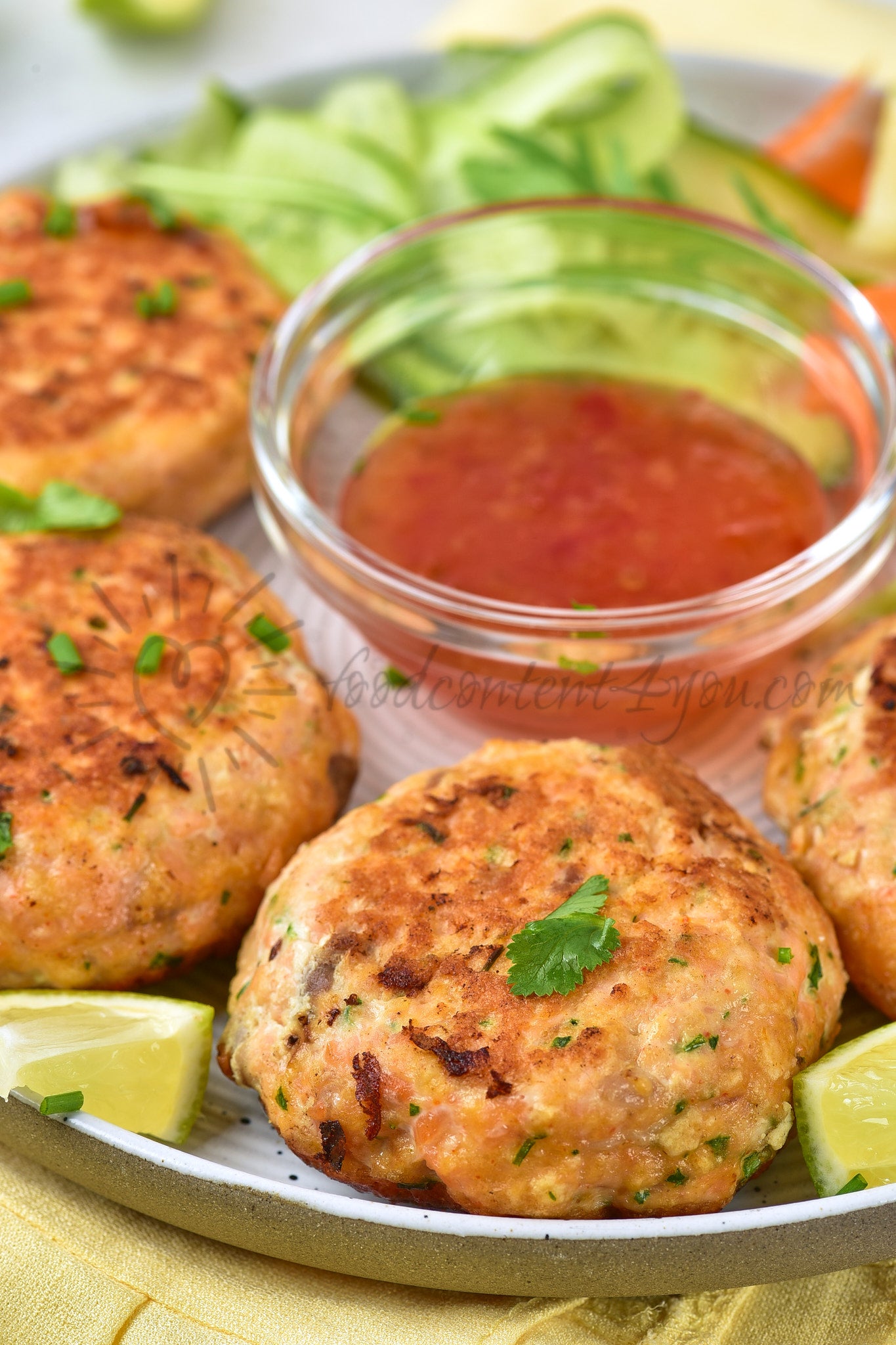 Thai Salmon Fish Cakes - Set 4 of 5
