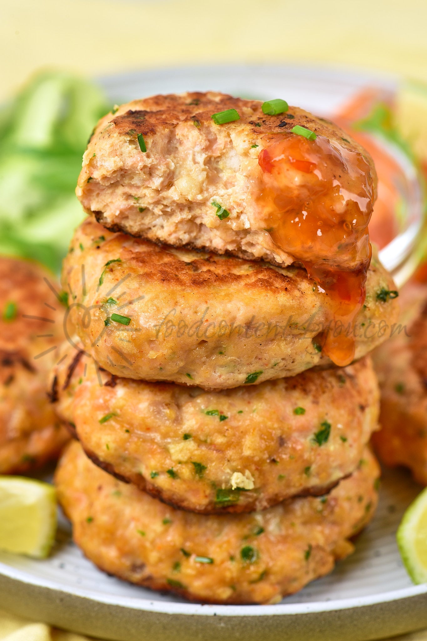 Thai Salmon Fish Cakes - Set 4 of 5