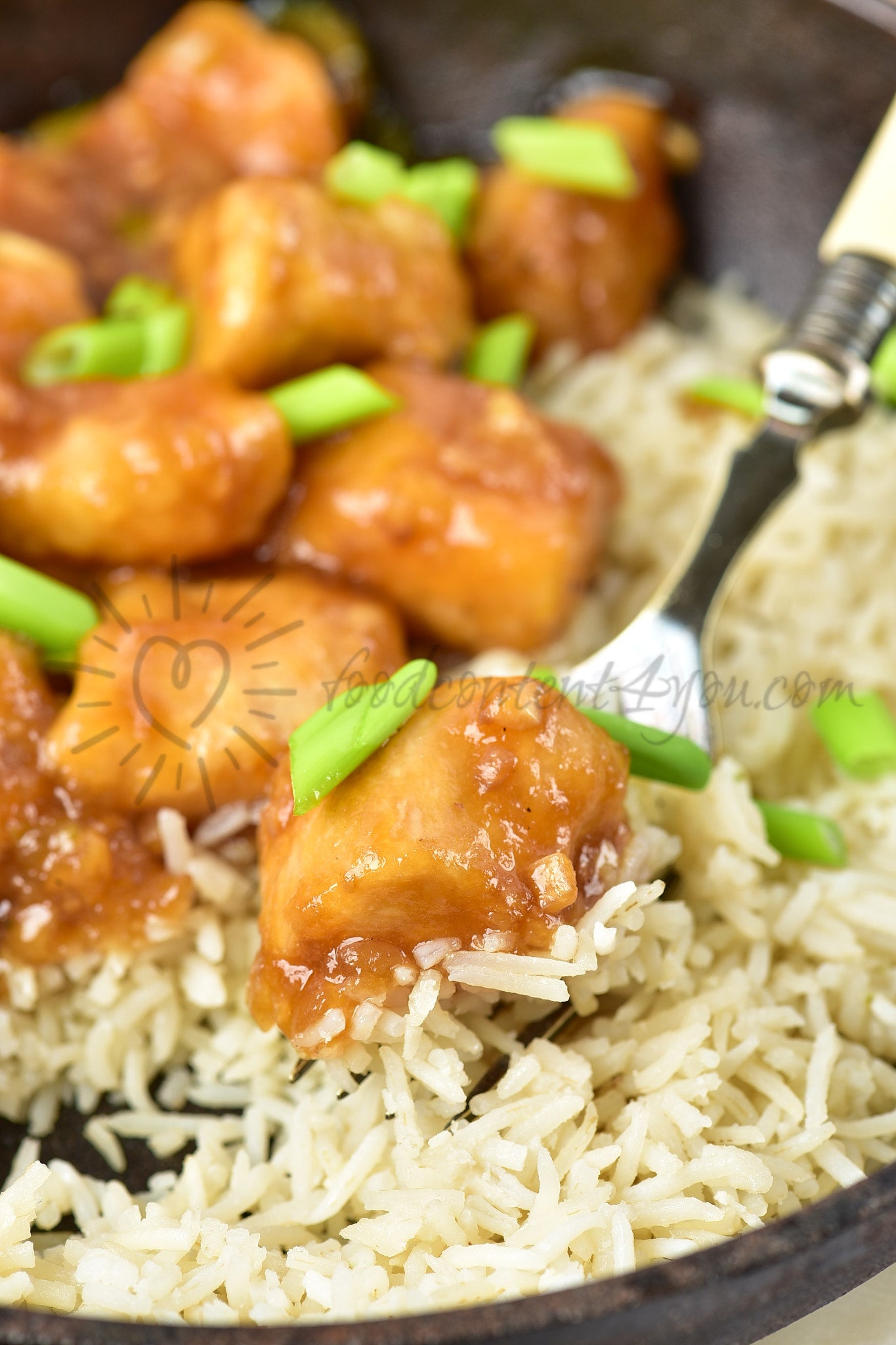 Mongolian Chicken - Set 1 of 5