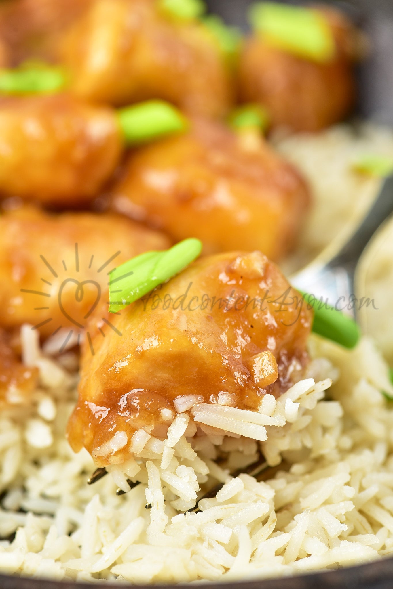 Mongolian Chicken - Set 1 of 5