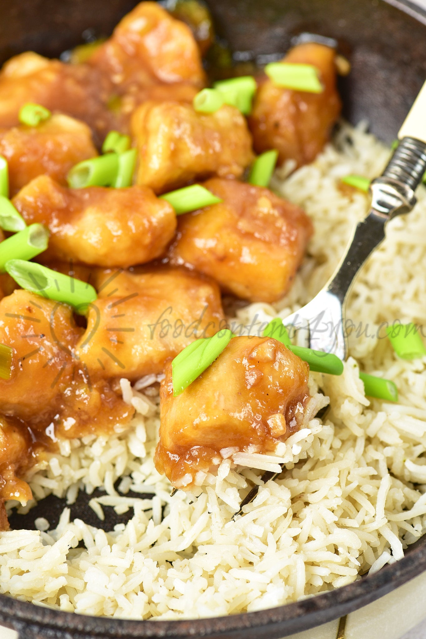 Mongolian Chicken - Set 1 of 5